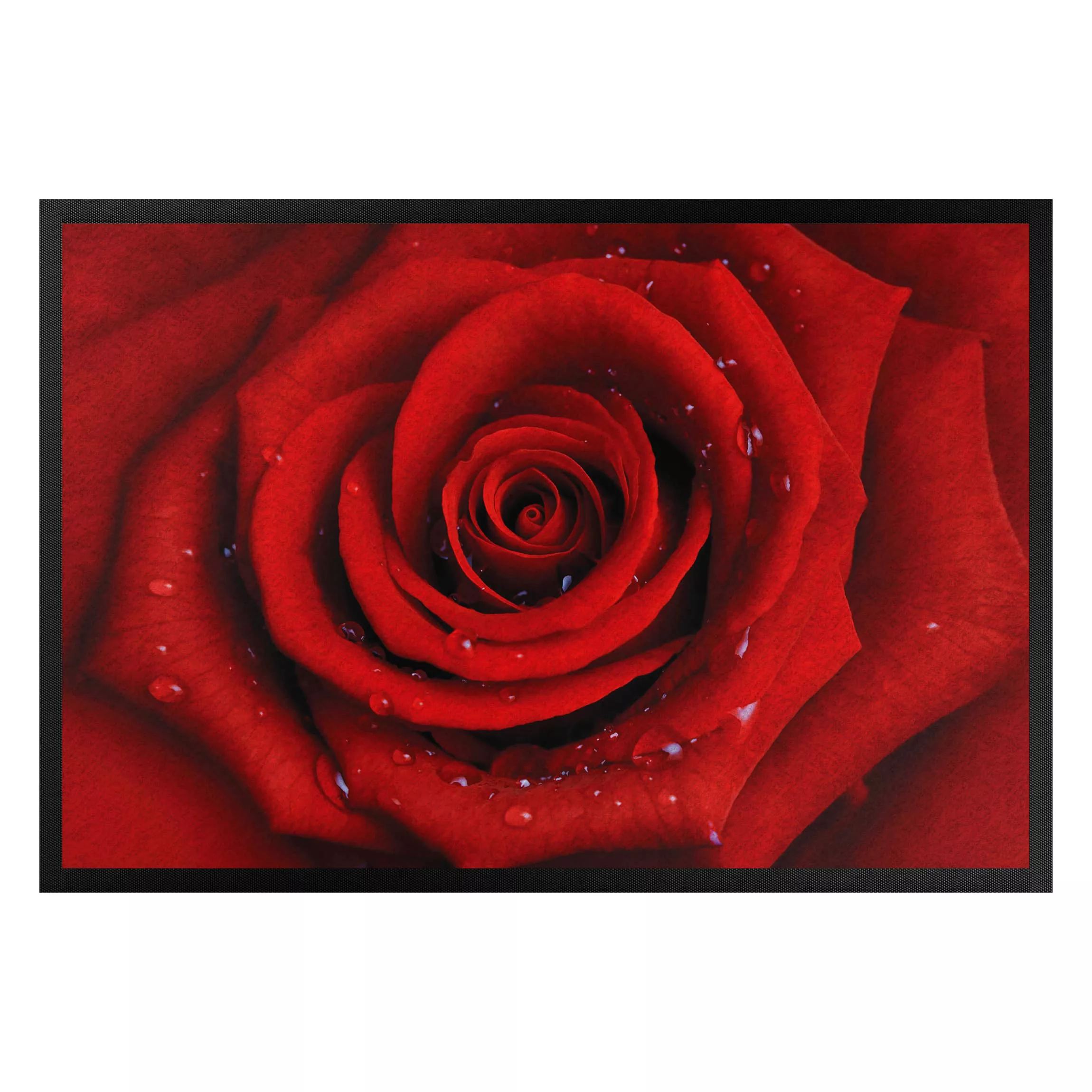 Fußmatte Blumen Rote Rose mit Wassertropfen günstig online kaufen