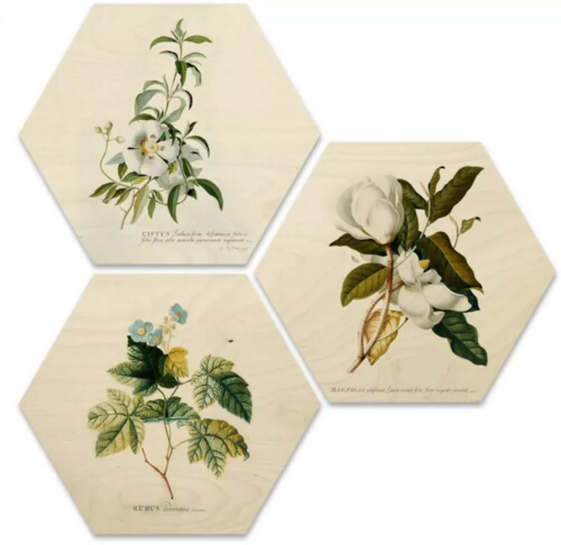 Wall-Art Mehrteilige Bilder »Botanische Collage Blumen Floral«, Tiere, (Set günstig online kaufen