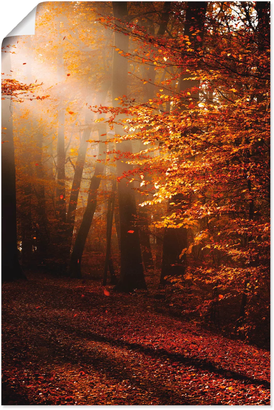Artland Wandbild "Sonnenaufgang im Herbst", Wald, (1 St.) günstig online kaufen