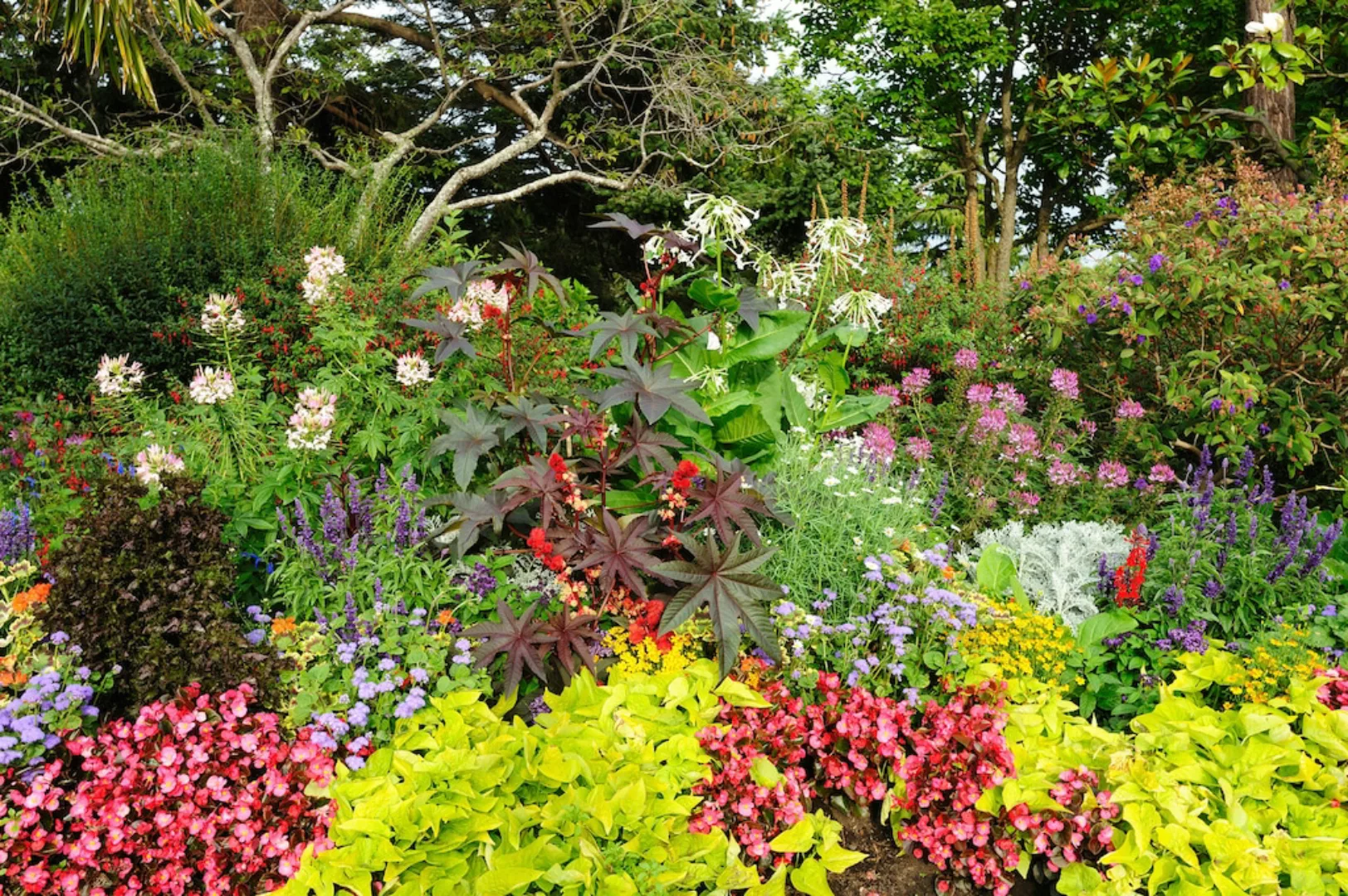 Papermoon Fototapete »GARTEN-BÄUME BLUMEN PFLANZEN PARK STEINE WALD BLÜTEN« günstig online kaufen