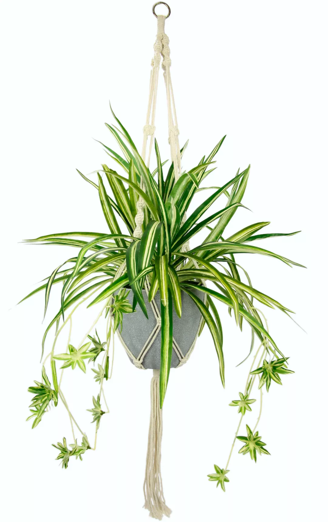 I.GE.A. Künstliche Zimmerpflanze "Wasserlilie" günstig online kaufen