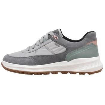 Geox  Sneaker D PG1X B ABX A günstig online kaufen