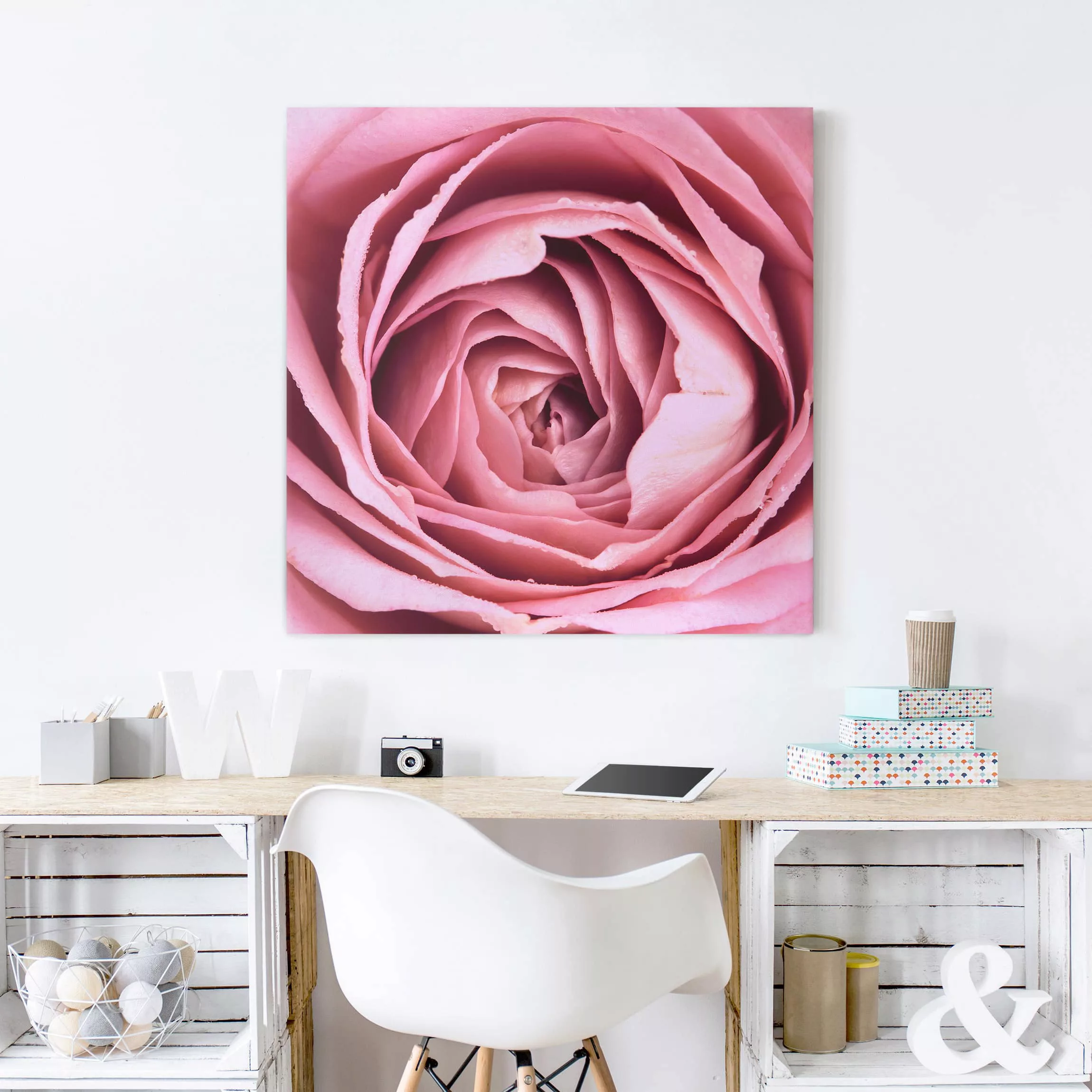 Leinwandbild Blumen - Quadrat Rosa Rosenblüte günstig online kaufen