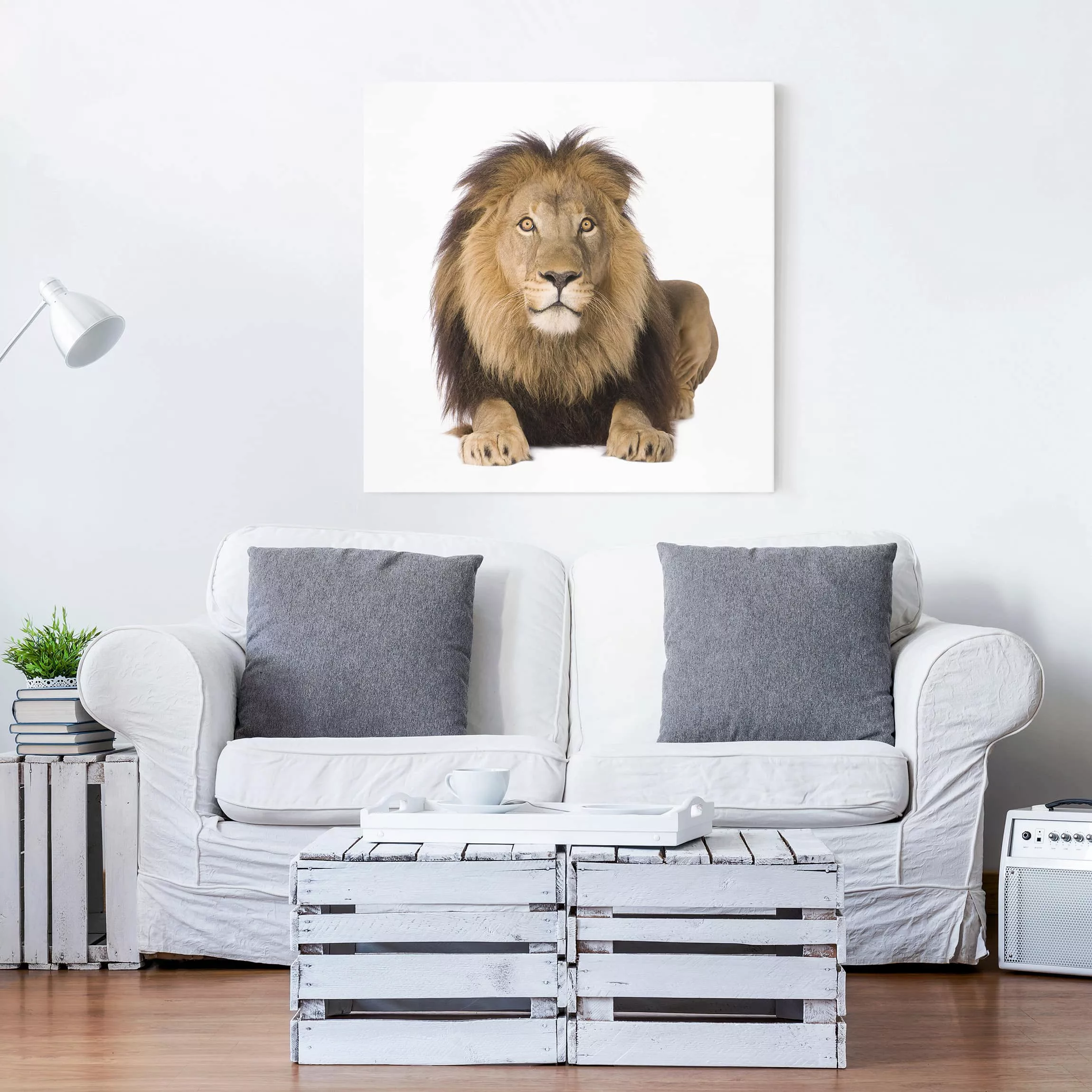 Leinwandbild Tiere - Quadrat König Löwe II günstig online kaufen