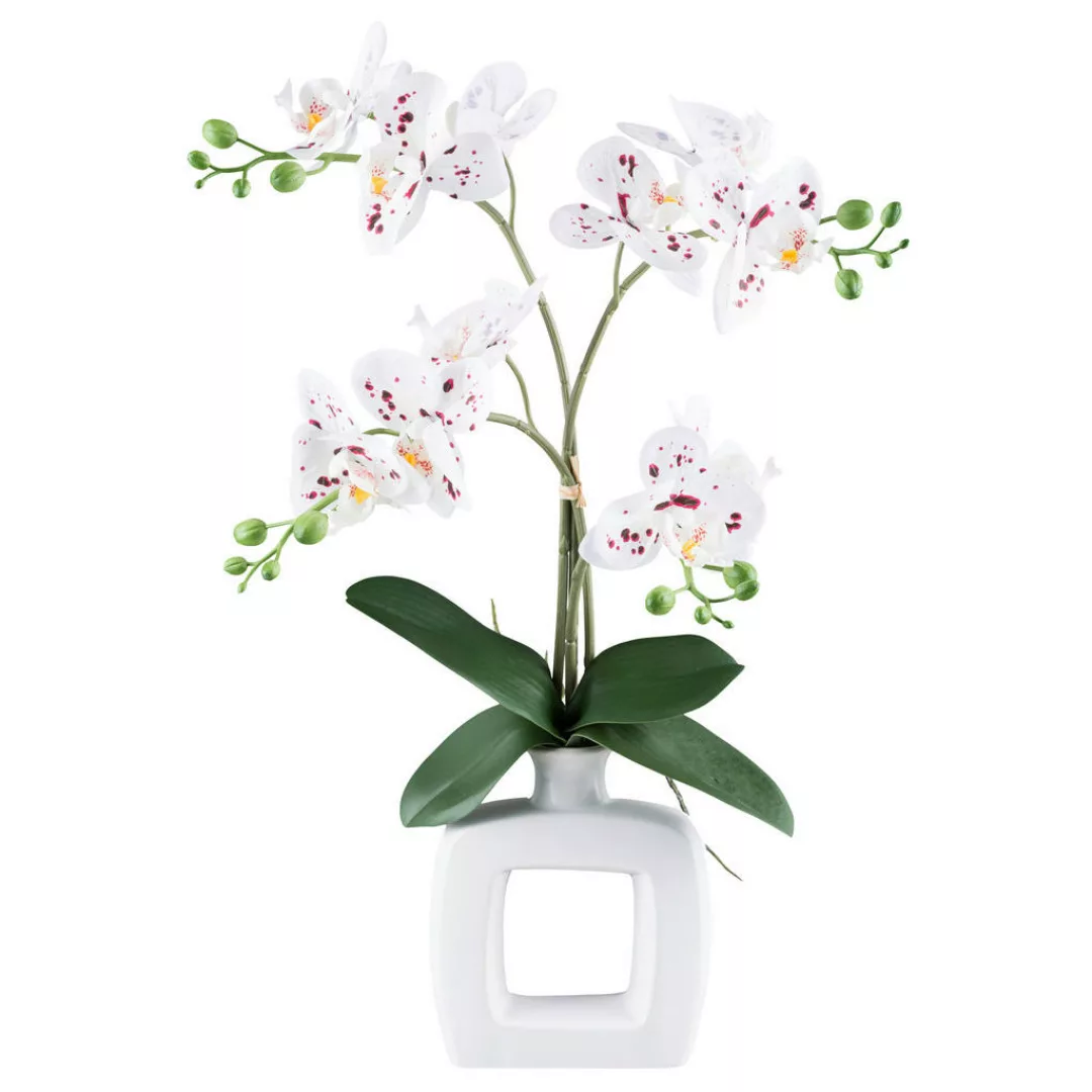 Kunstpflanze Phalaenopsis weiß Kunststoff B/H/L: ca. 16x42x17 cm günstig online kaufen