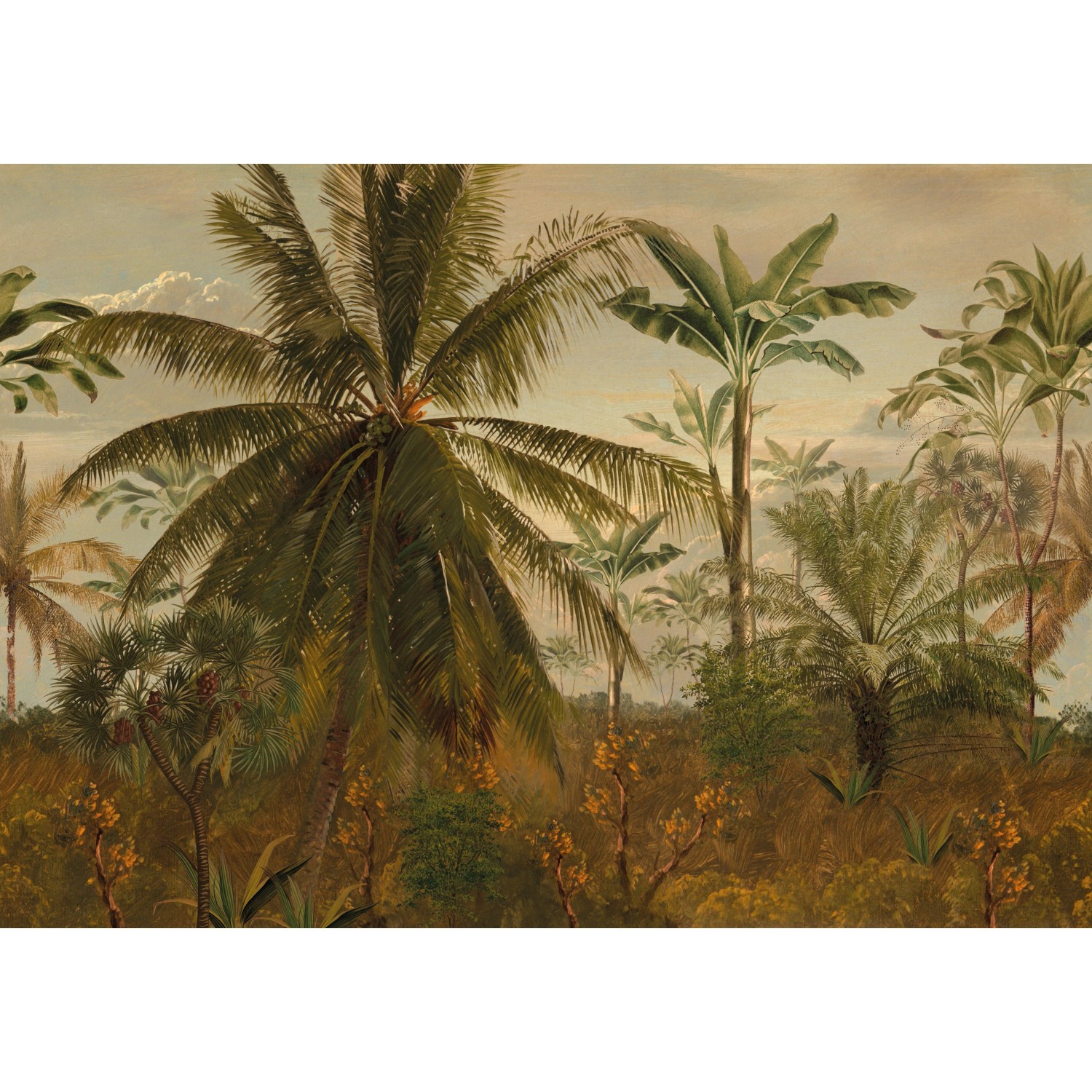 LOOKS by Wolfgang Joop Fototapete »Jungle Morning Sun«, Strand, 350x270cm günstig online kaufen