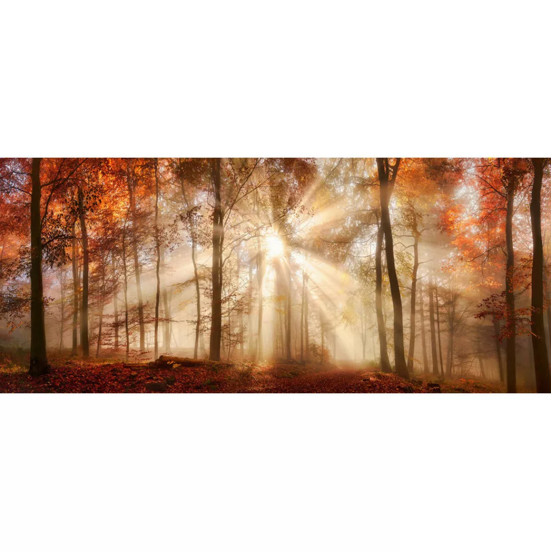 Bönninghoff Leinwandbild "Herbst", Wald, (1 St.), BxH: 140x60 cm günstig online kaufen