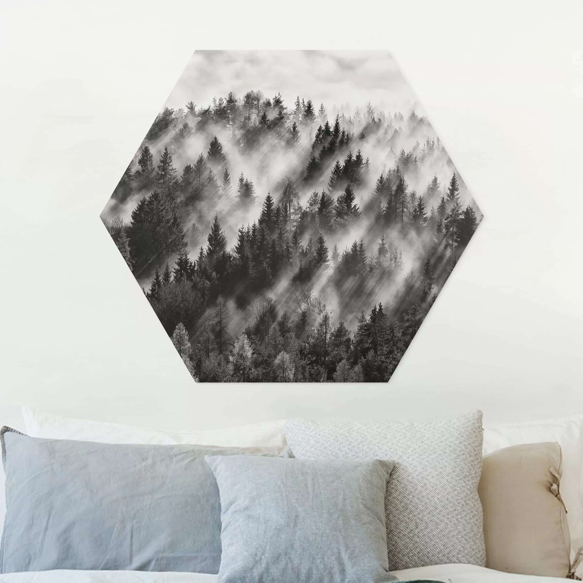 Hexagon-Forexbild Lichtstrahlen im Nadelwald günstig online kaufen