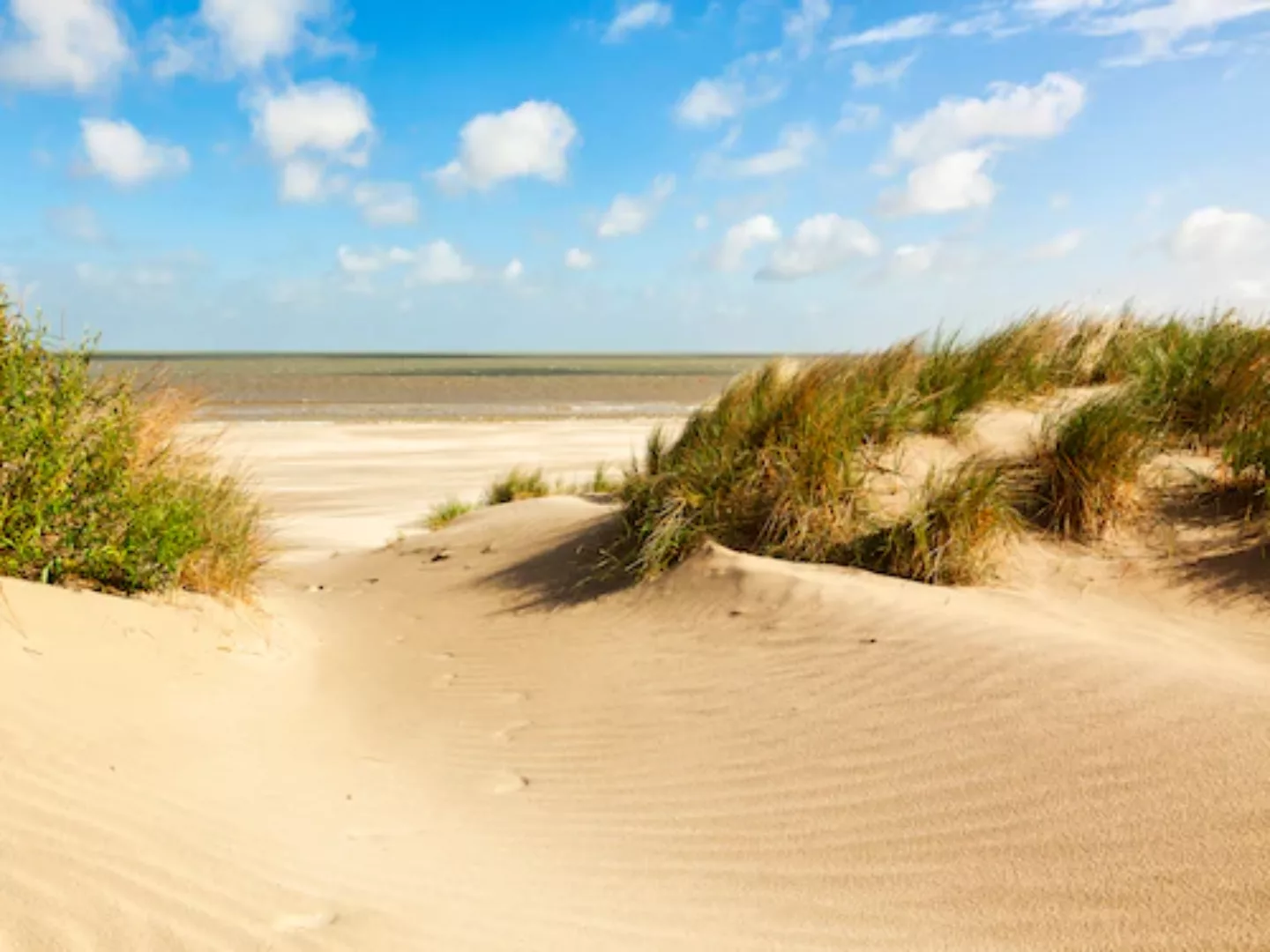Papermoon Fototapete »Dunes Knokke-Heist« günstig online kaufen