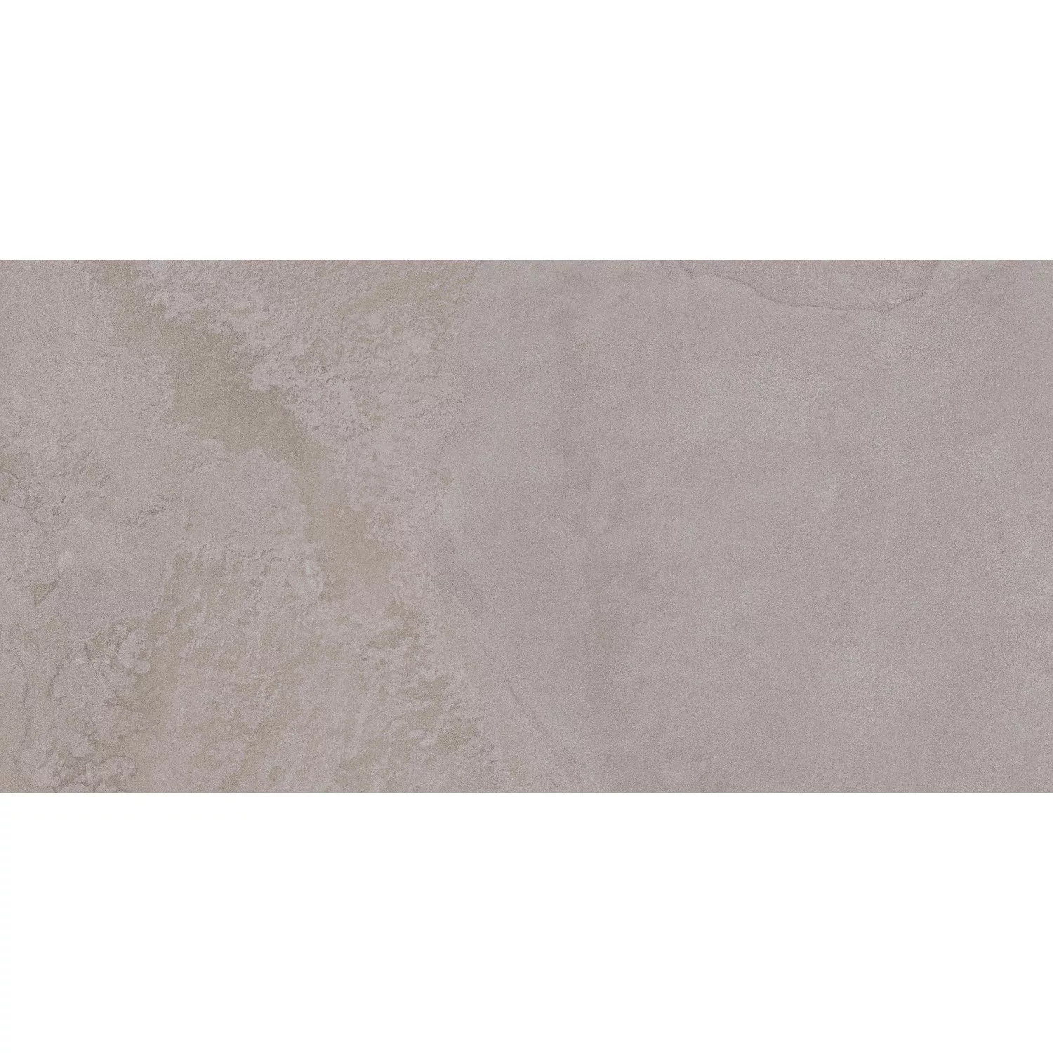 Wandfliese Paradis Grey 30 cm x 60 cm günstig online kaufen