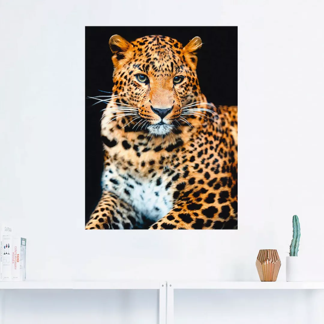 Artland Wandbild "Wütender wilder Leopard", Wildtiere, (1 St.), als Alubild günstig online kaufen