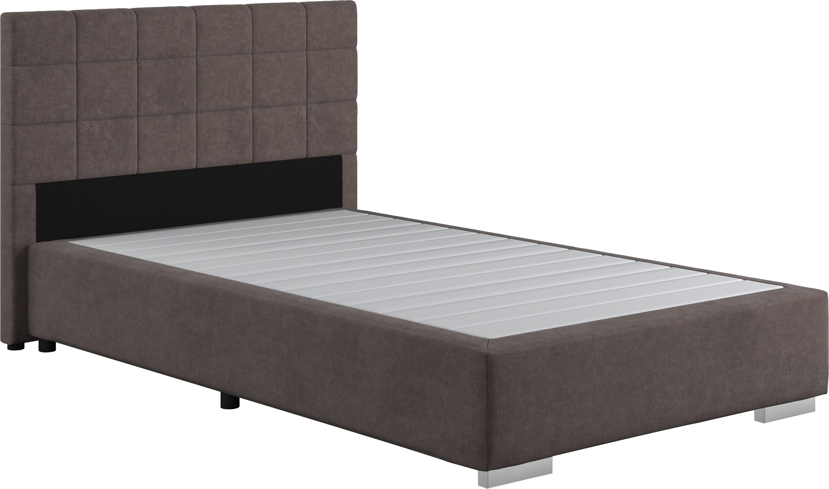 COTTA Boxspringbett Simba, Topseller! wahlweise mit günstig online kaufen