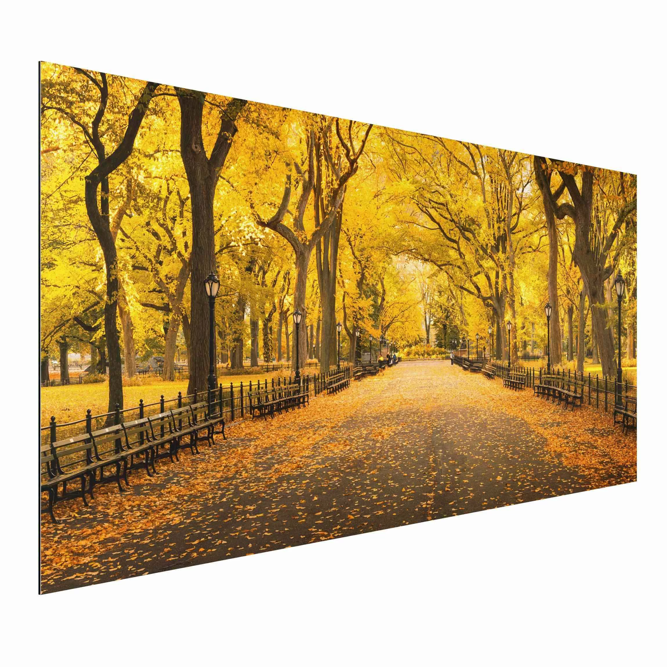 Alu-Dibond Bild Herbst im Central Park günstig online kaufen