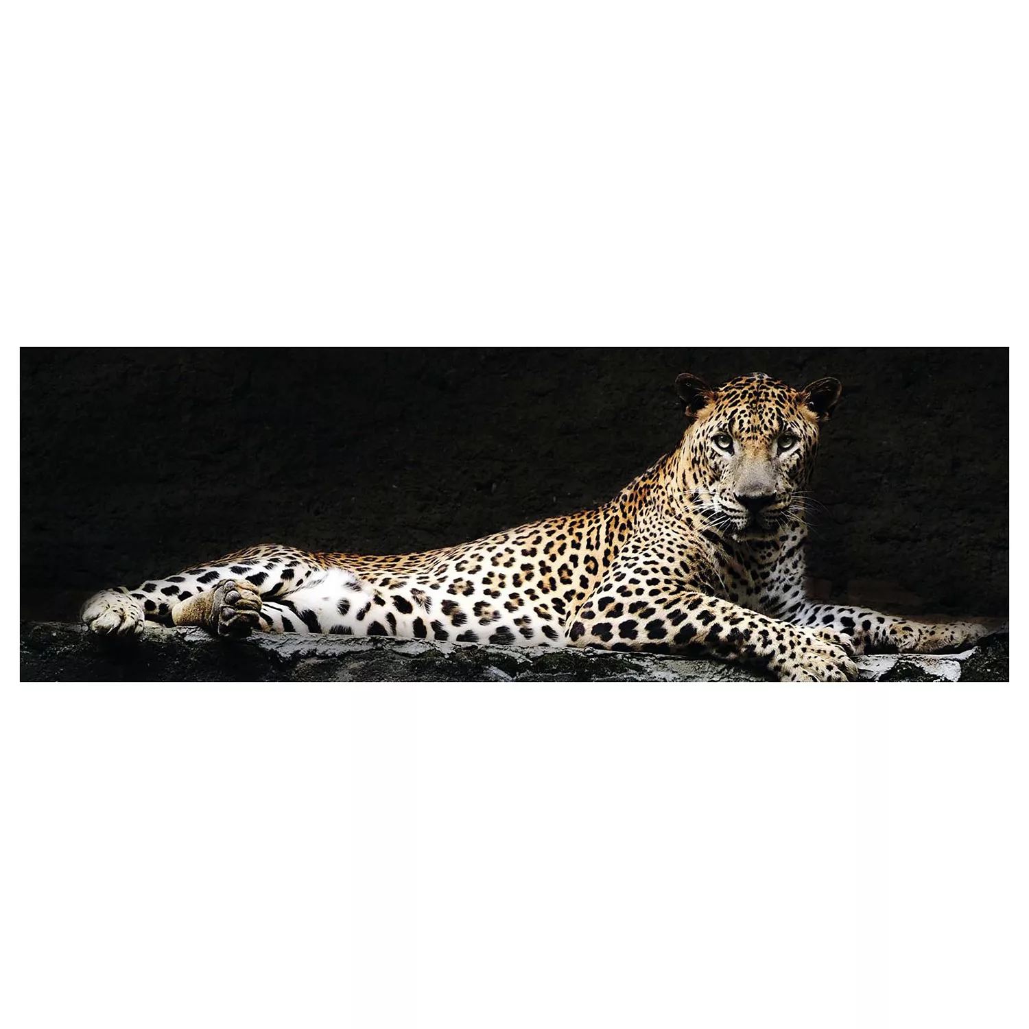home24 Bild Leopard günstig online kaufen