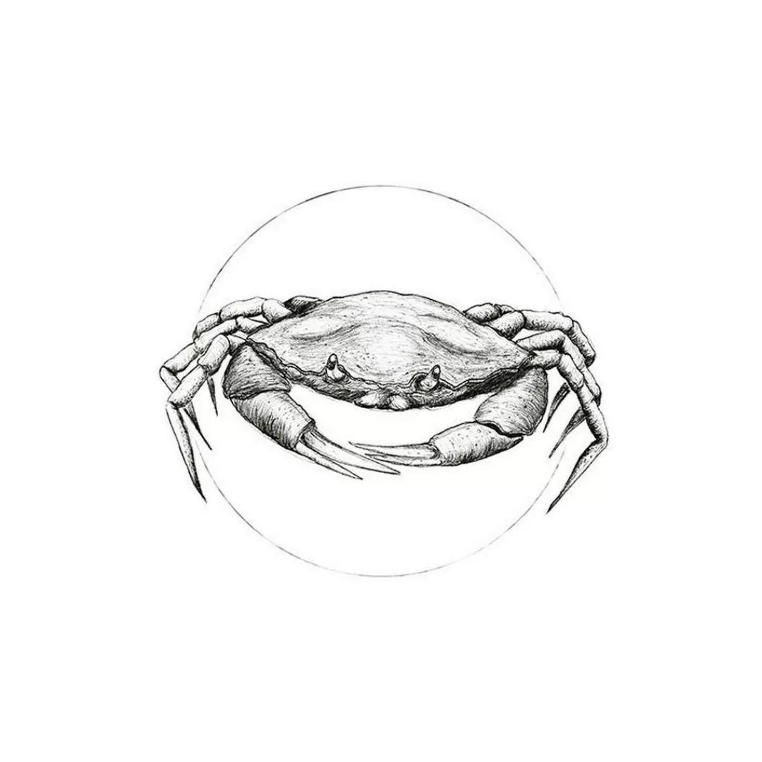 Komar Wandbild Crab White Tiere B/L: ca. 30x40 cm günstig online kaufen