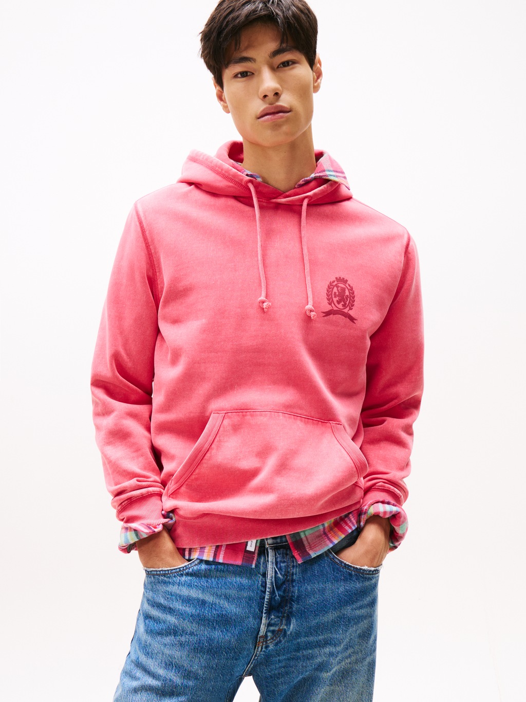 Tommy Jeans Hoodie "TJM WASHED CREST PLAY", regular fit, Sweatshirt, Rücken günstig online kaufen