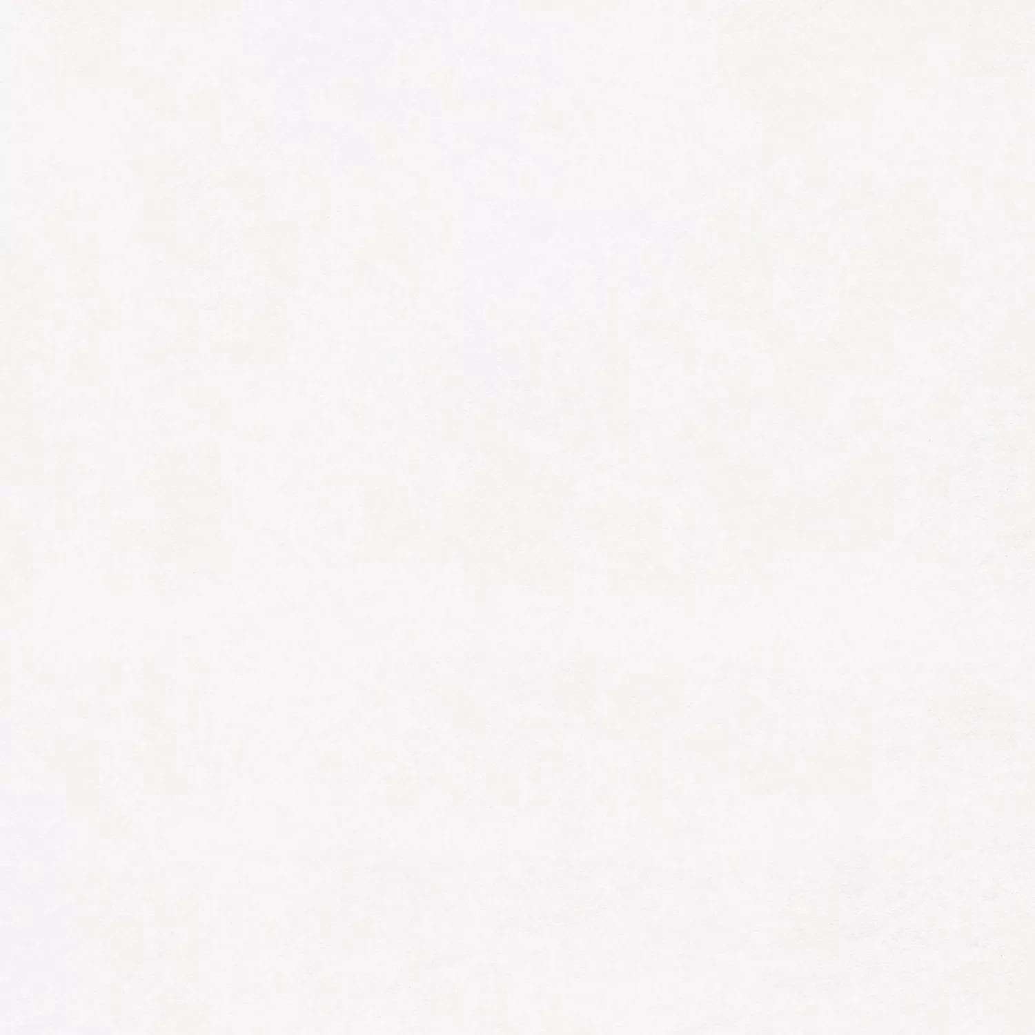 Bricoflor Malervlies 10M Lang Ideal als untertapete für Vliestapete und Pap günstig online kaufen