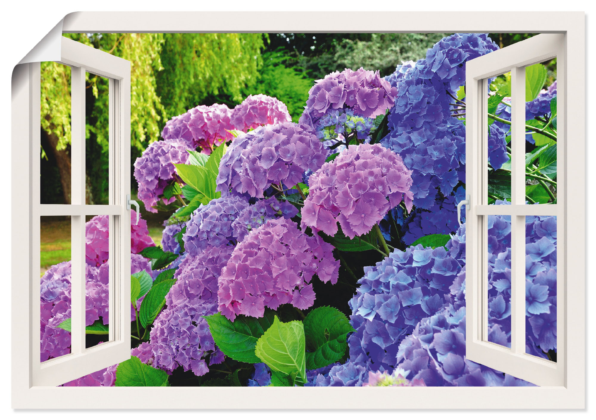 Artland Wandbild »Fensterblick Hortensien im Garten«, Blumen, (1 St.), als günstig online kaufen