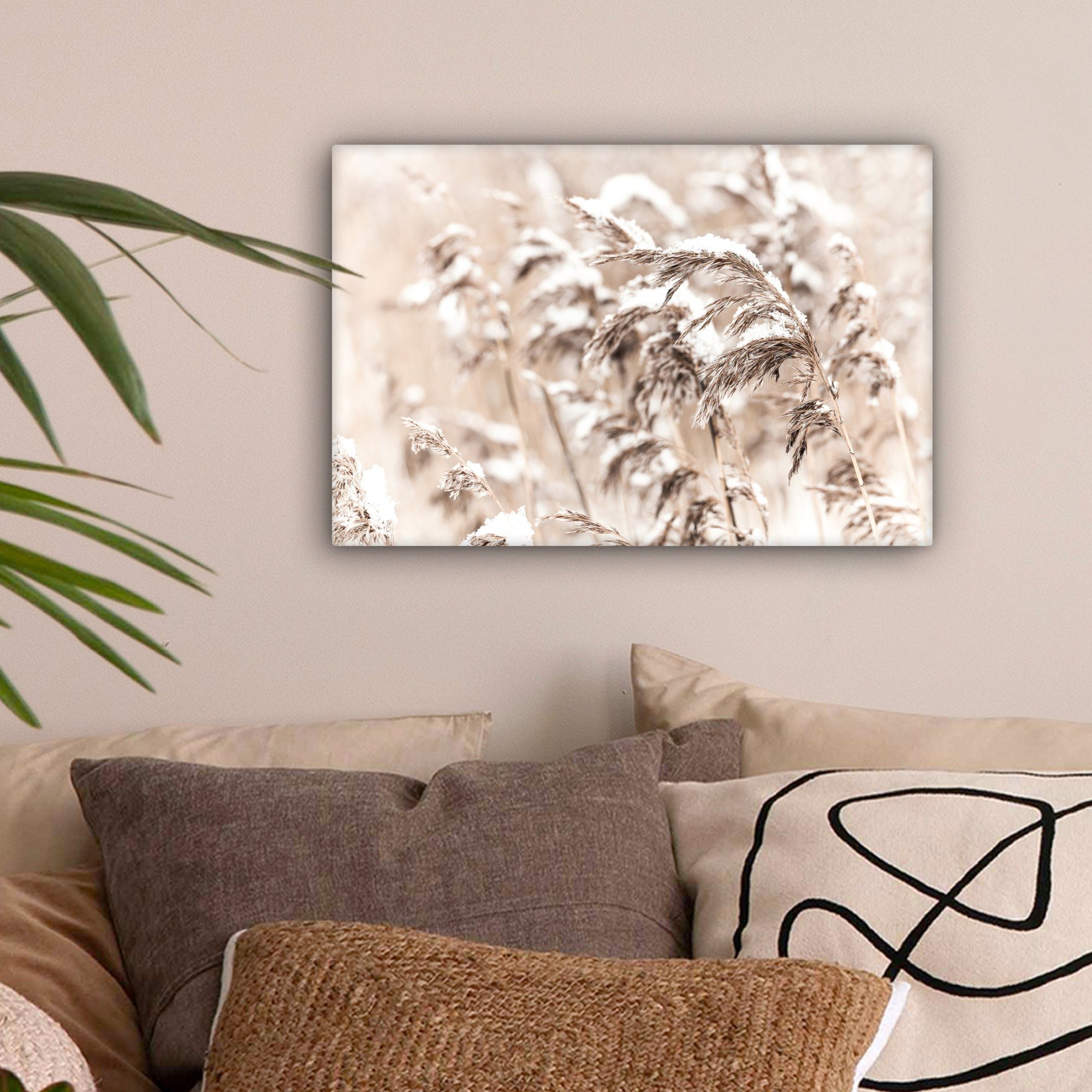 OneMillionCanvasses® Leinwandbild Winter - Pflanzen - günstig online kaufen