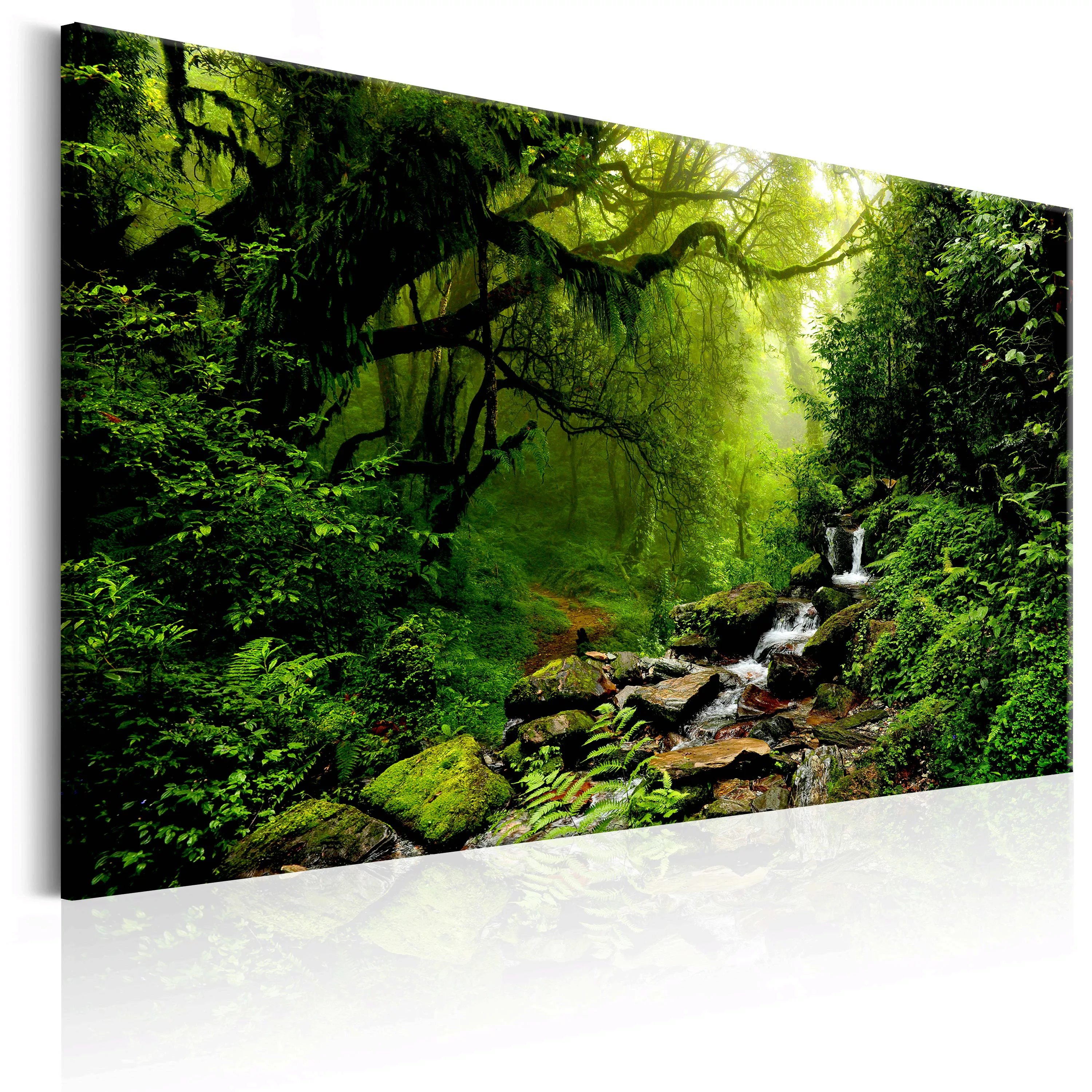 Wandbild - Waterfall In The Forest günstig online kaufen