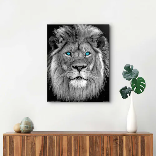 Reinders! Wandbild »Löwe mit blaue Augen« günstig online kaufen