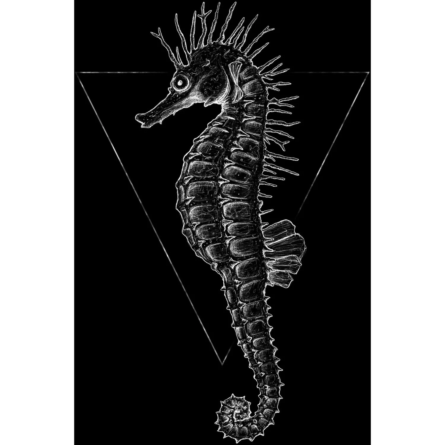 Komar Poster »Sea Horse Black«, Tiere, (1 St.) günstig online kaufen