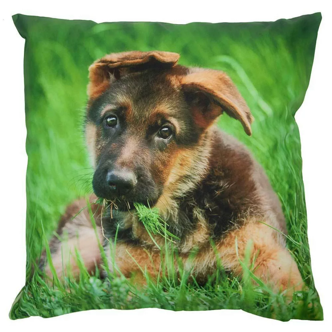 Outdoor Kissen Hund Welpe Schäferhund Gartenkissen Wasserabweisend 50 x 50 günstig online kaufen