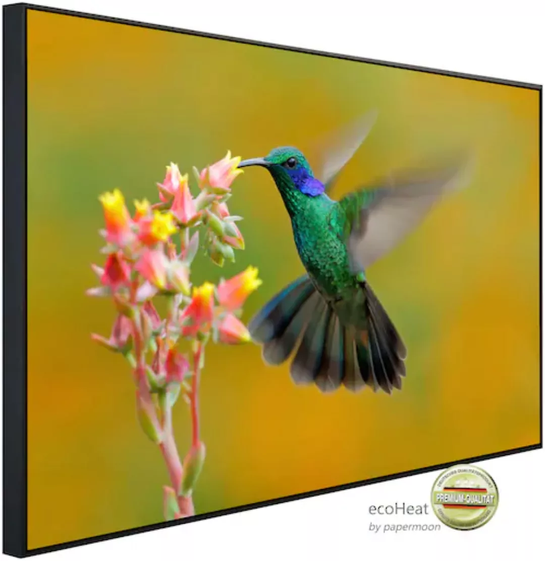 Papermoon Infrarotheizung »Kolibri Colibri Thalassinus«, sehr angenehme Str günstig online kaufen