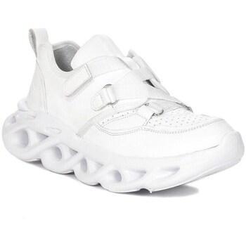 Maciejka  Sneaker 0497811005 günstig online kaufen