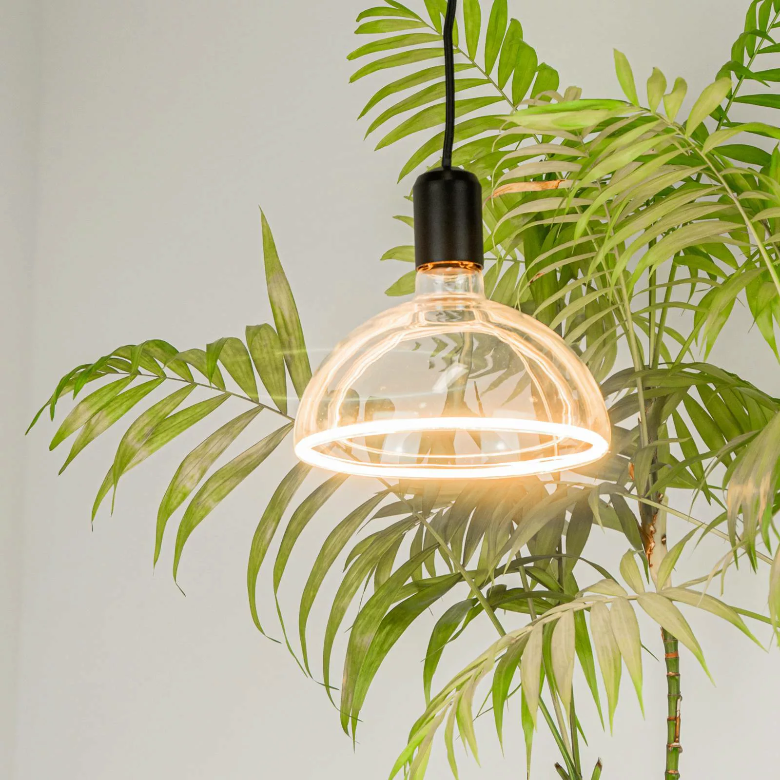 SEGULA LED-Lampe Bowl E27 6,2W Ambient dimmbar günstig online kaufen