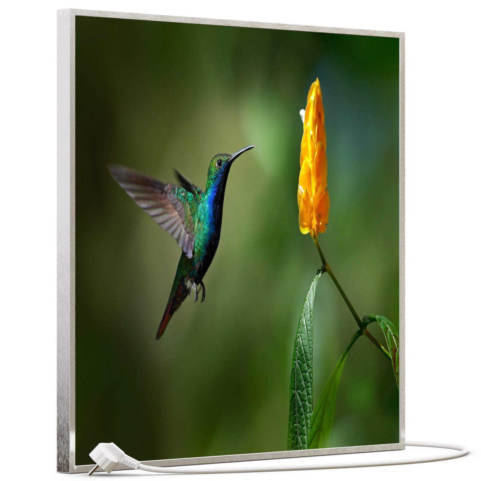 STEINFELD Heizsysteme Infrarotheizung, Bild, 350W 60x60cm, günstig online kaufen