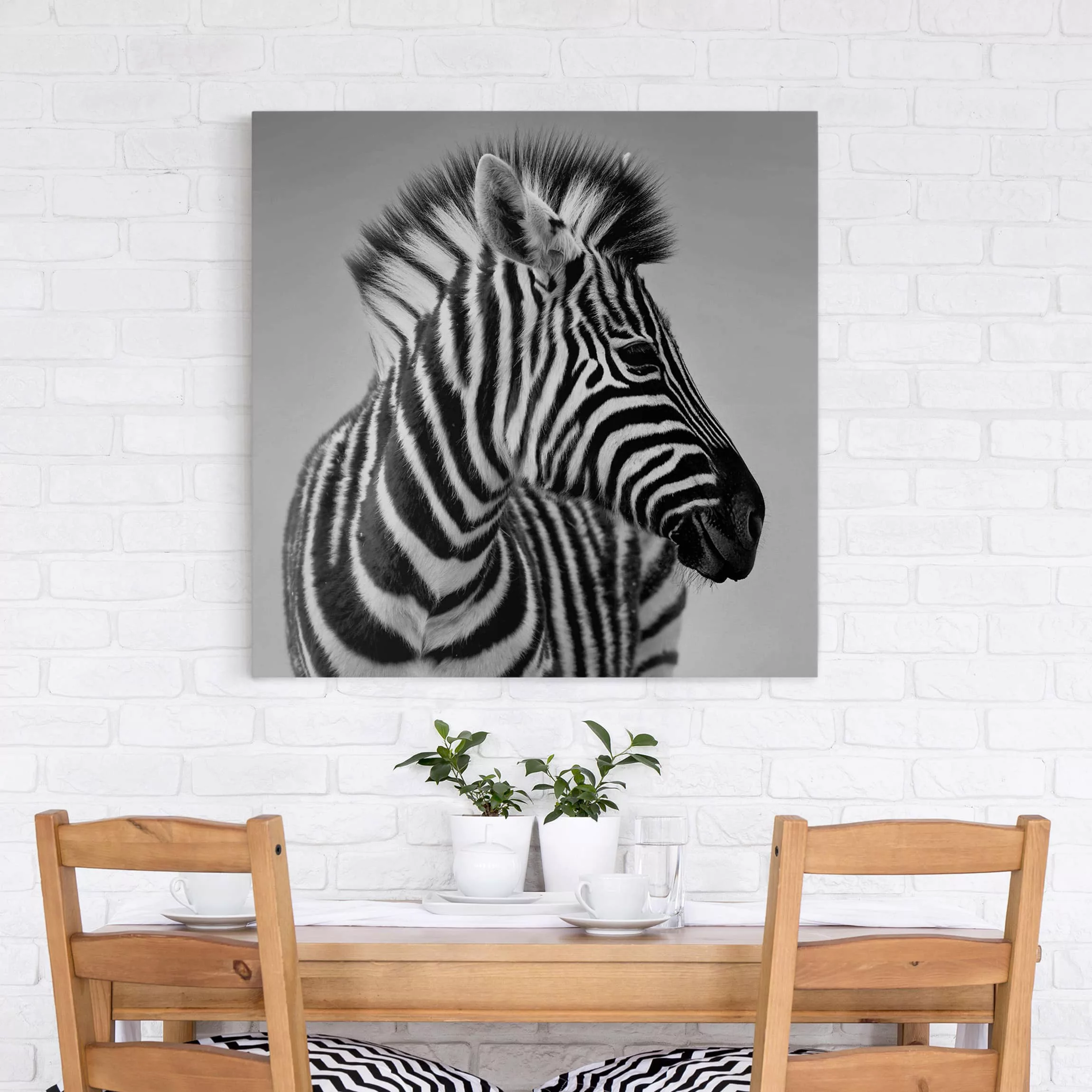 Leinwandbild - Quadrat Zebra Baby Portrait II günstig online kaufen