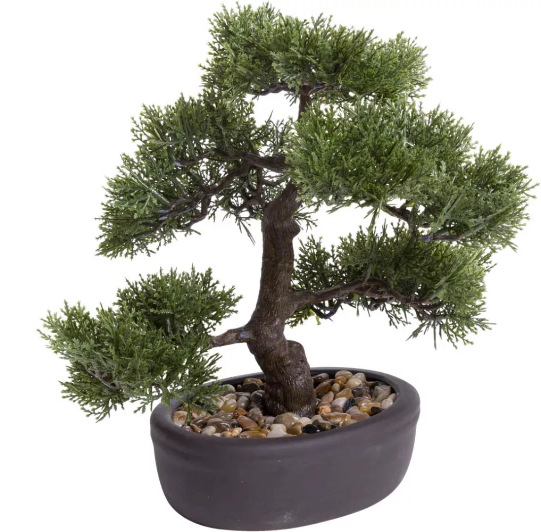 Emerald Kunstpflanze Bonsai Zeder Grün 34 cm 420003 grün günstig online kaufen