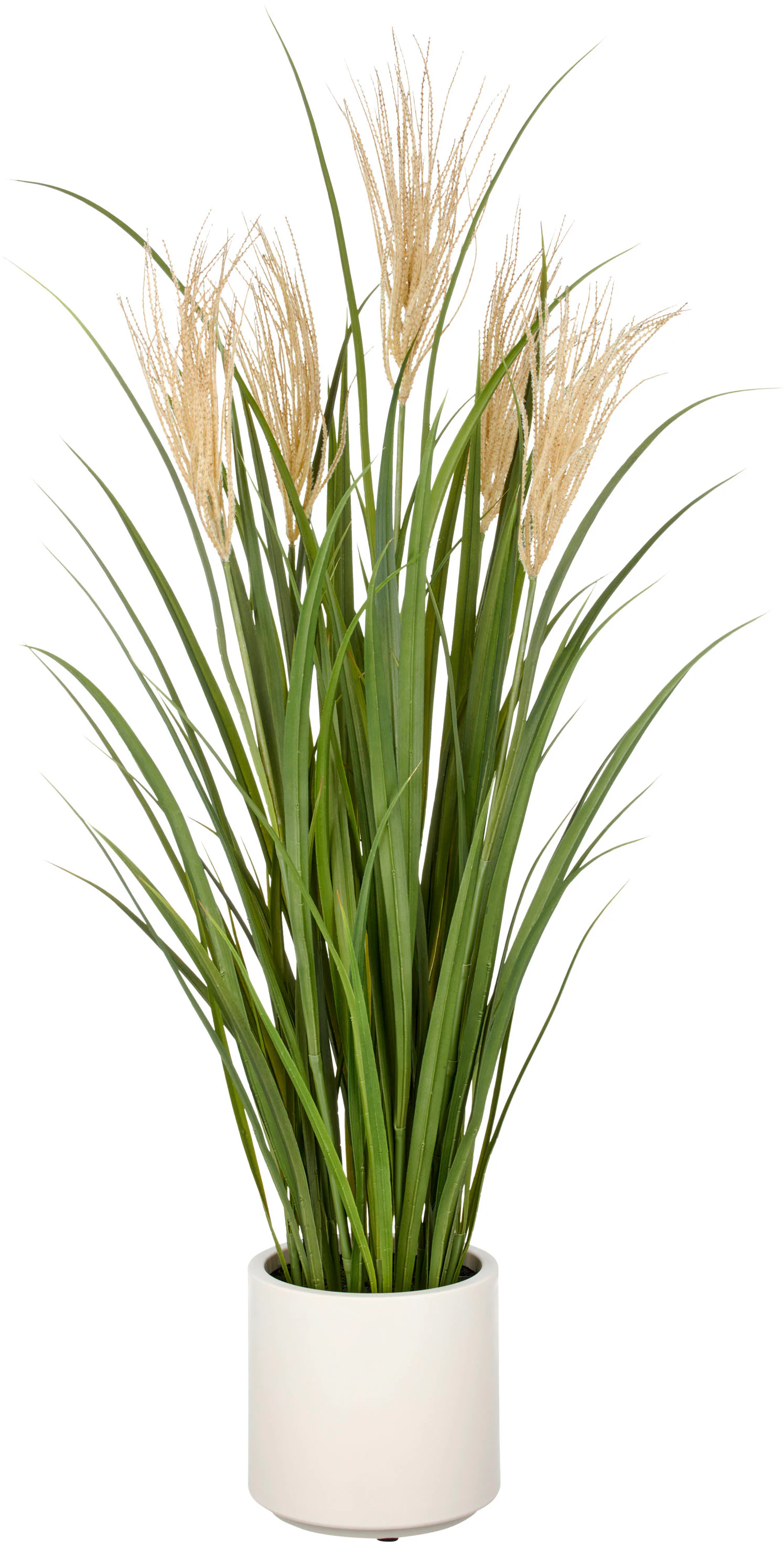 Creativ green Kunstgras "Grasbusch Schilfrohr", im eleganten Topf günstig online kaufen