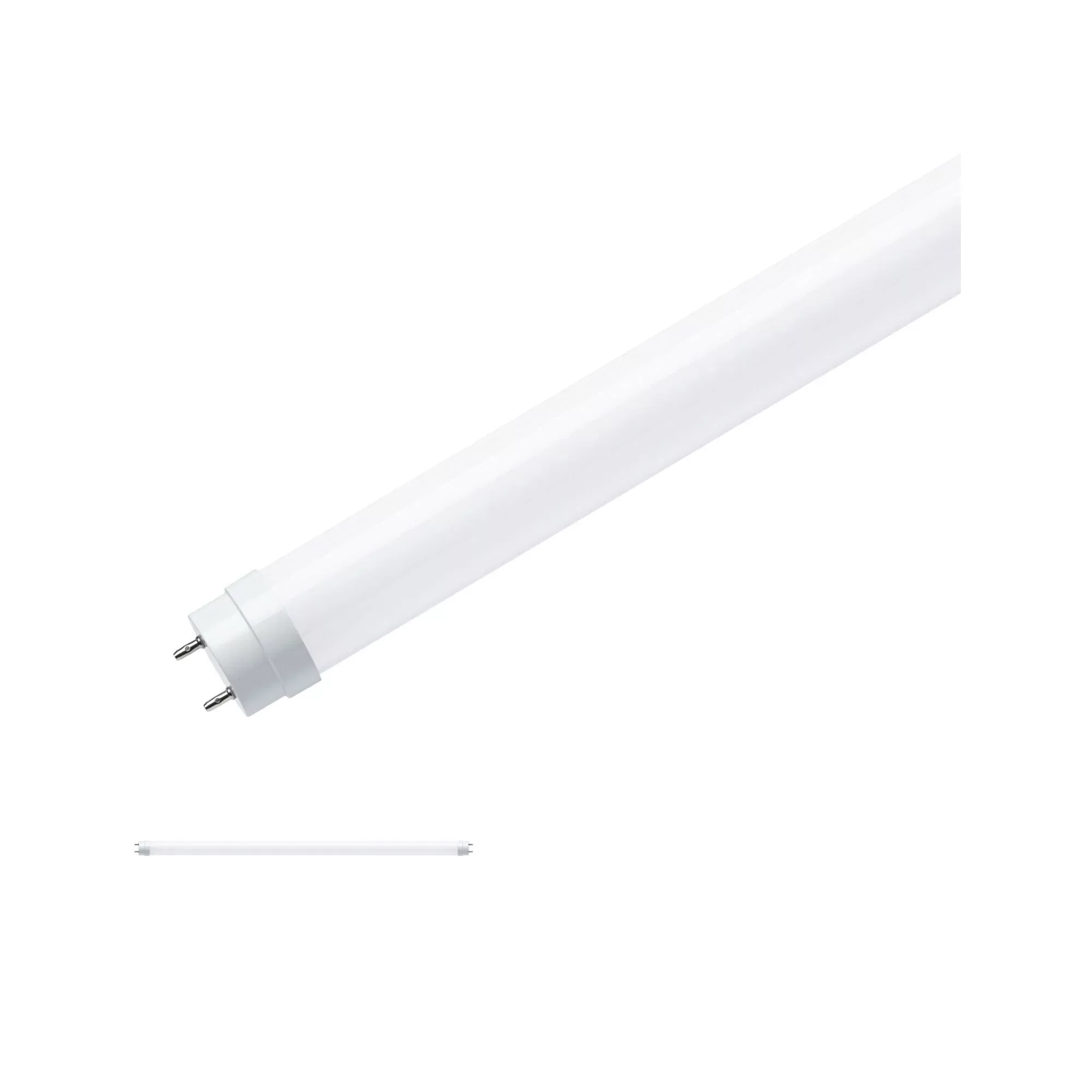 Paulmann "Standard 230V LED Röhre G13 T8 EM 604 mm 900lm 9,5W 3000K Opal" günstig online kaufen