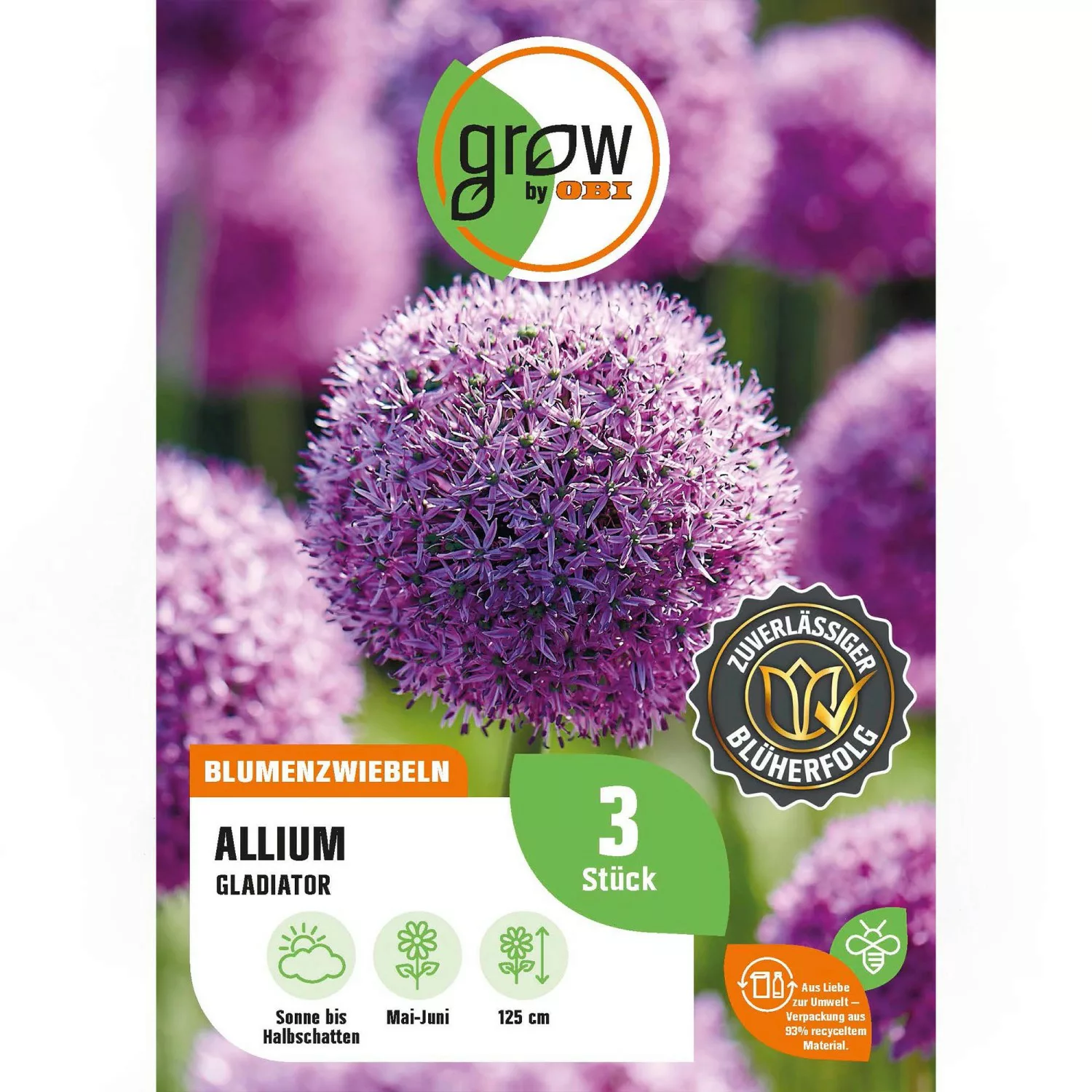 GROW by OBI Zierlauch Gladiator Lila 3 Stück Allium günstig online kaufen