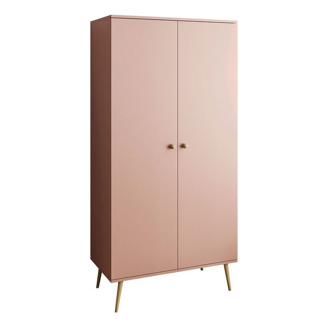 Lookway Kleiderschrank HARMONY zweitüriger Schrank mit Kleiderstange günstig online kaufen