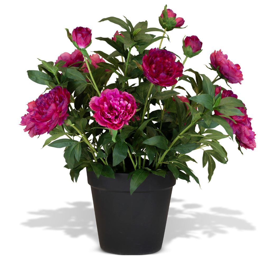 Künstliche Paeonia - Pfingstrosen Höhe 86 cm pink günstig online kaufen