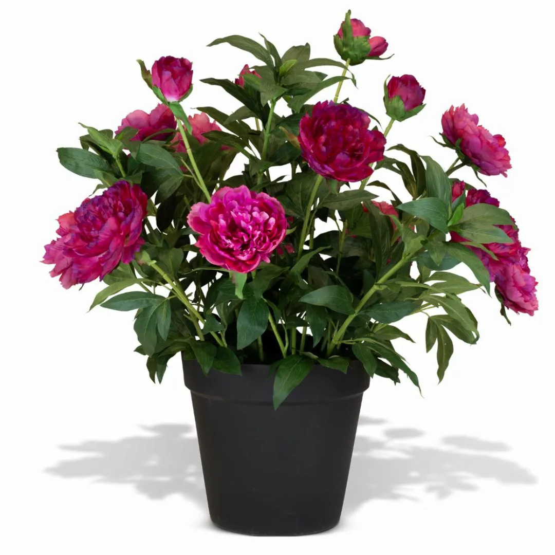 Künstliche Paeonia - Pfingstrosen Höhe 86 cm pink günstig online kaufen