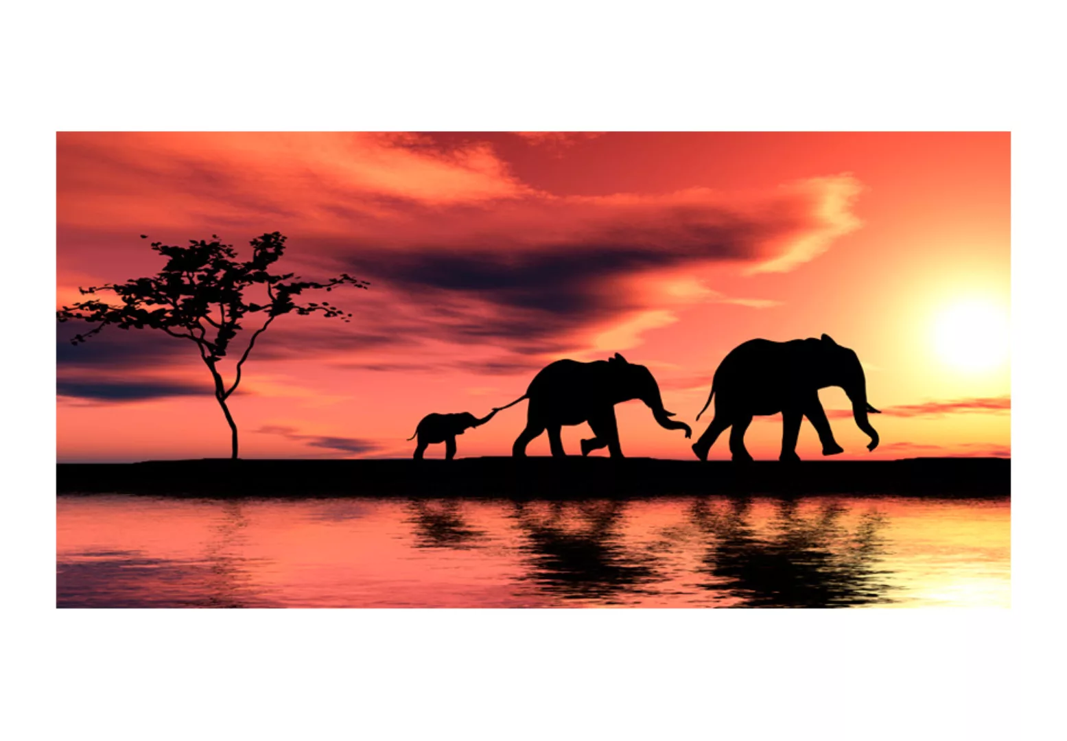 Xxl Tapete - Elefanten: Familie günstig online kaufen