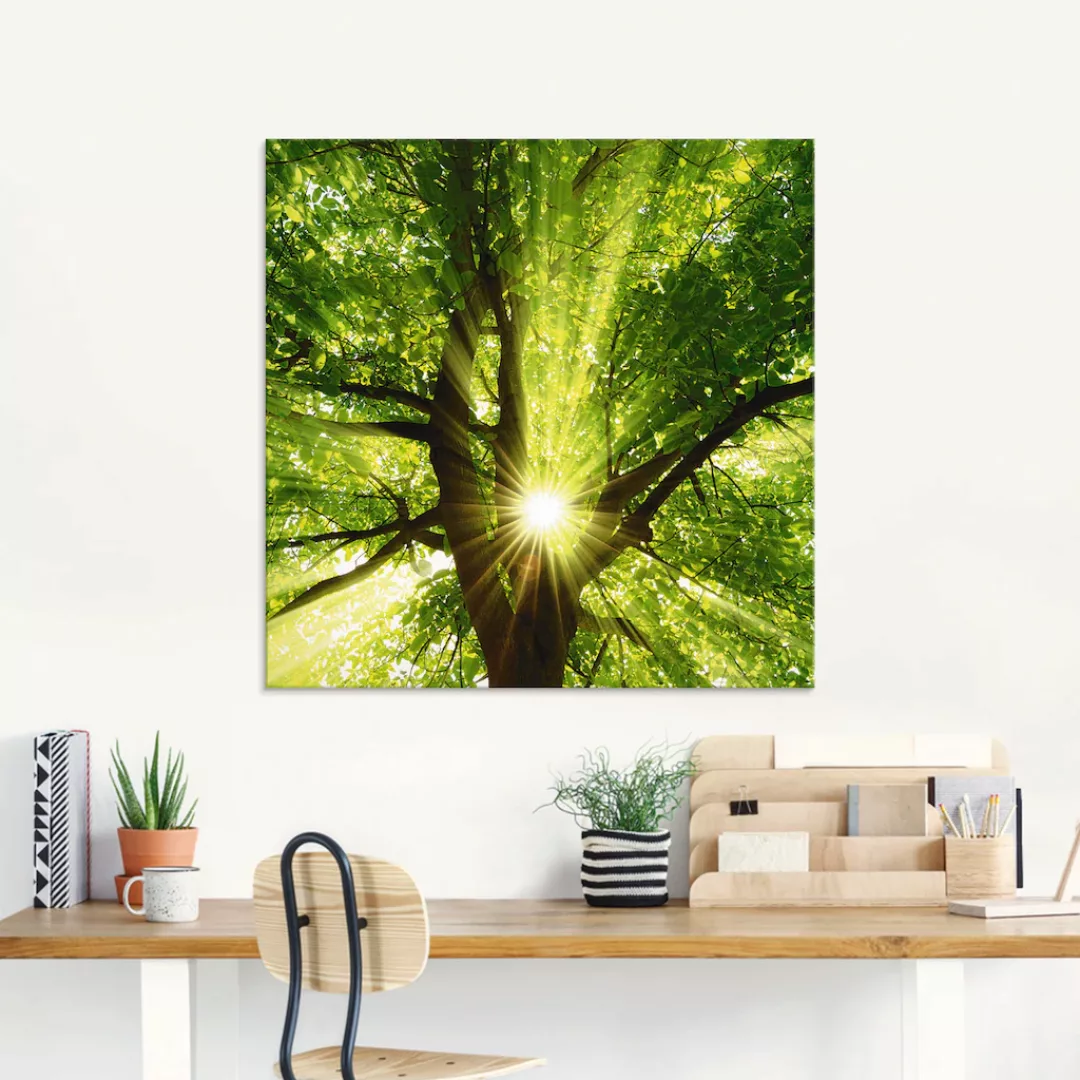 Artland Glasbild »Sonne strahlt explosiv durch den Baum«, Bäume, (1 St.), i günstig online kaufen