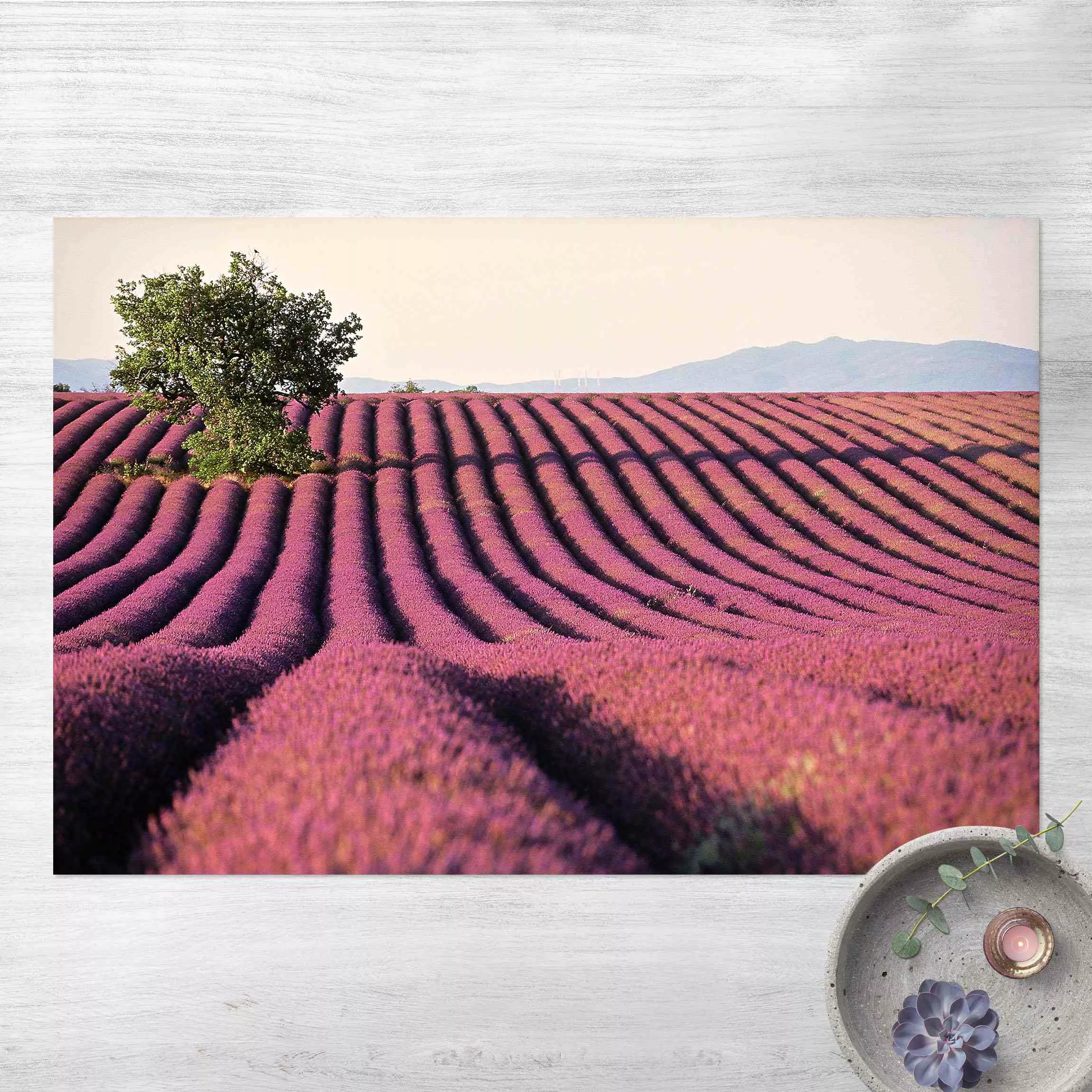 Vinyl-Teppich Lavender günstig online kaufen