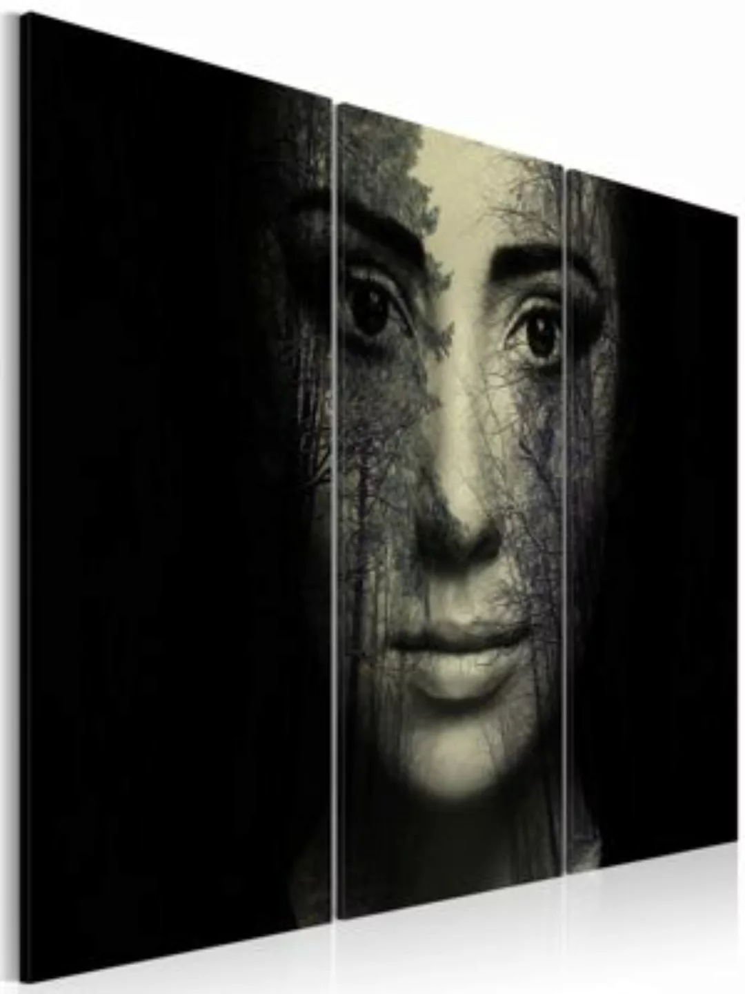 artgeist Wandbild Tarnung im Wald schwarz/grau Gr. 60 x 40 günstig online kaufen