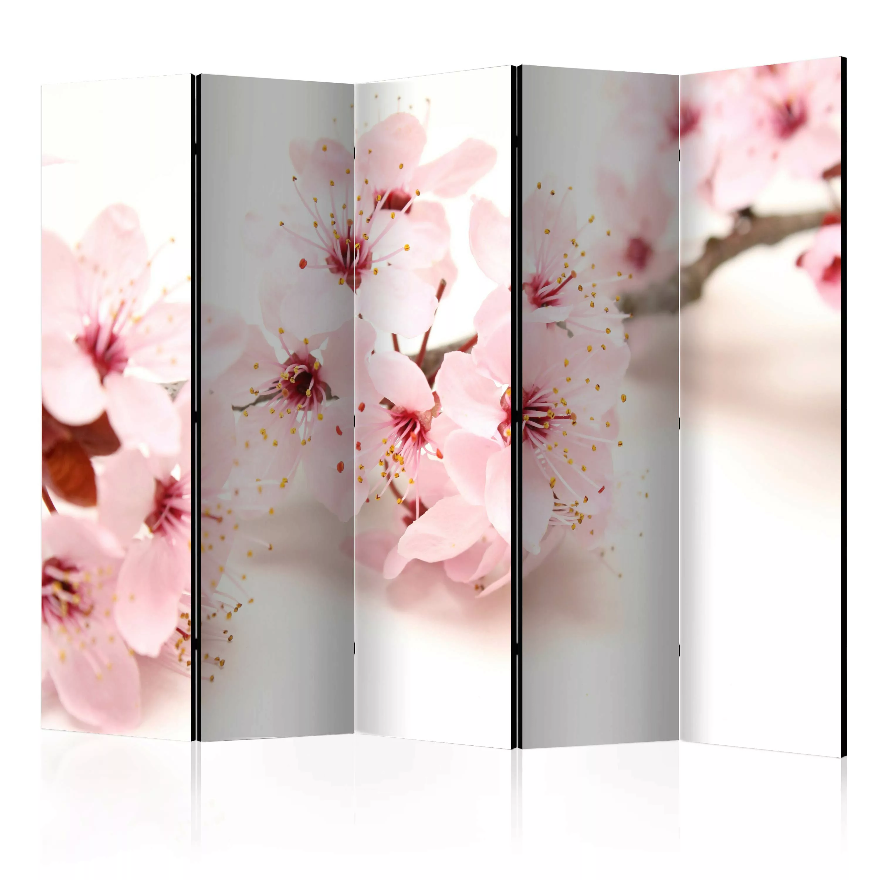 5-teiliges Paravent -  Cherry Blossom Ii [room Dividers] günstig online kaufen