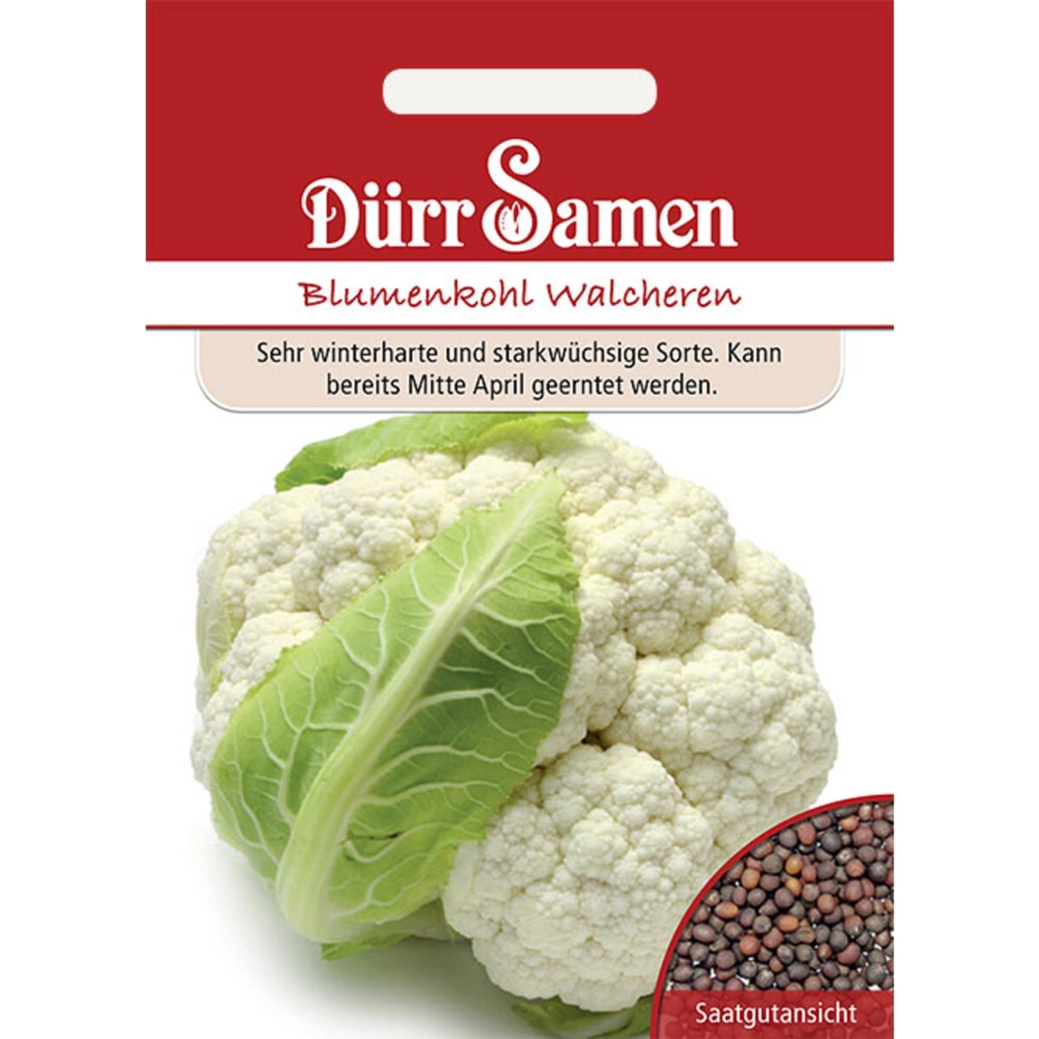 Dürr Samen Blumenkohl Walcheren Saatgut günstig online kaufen