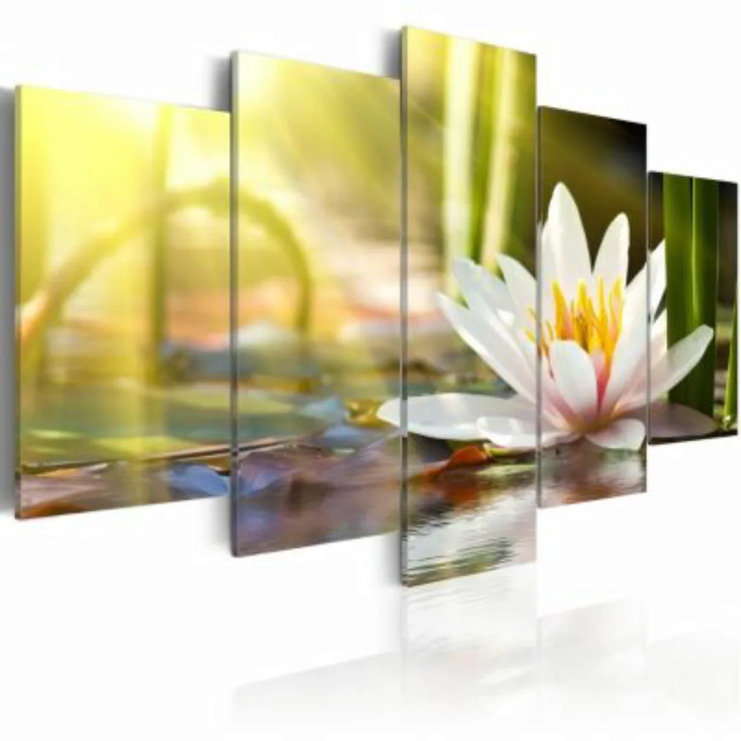 artgeist Wandbild Sunny Lotus mehrfarbig Gr. 200 x 100 günstig online kaufen