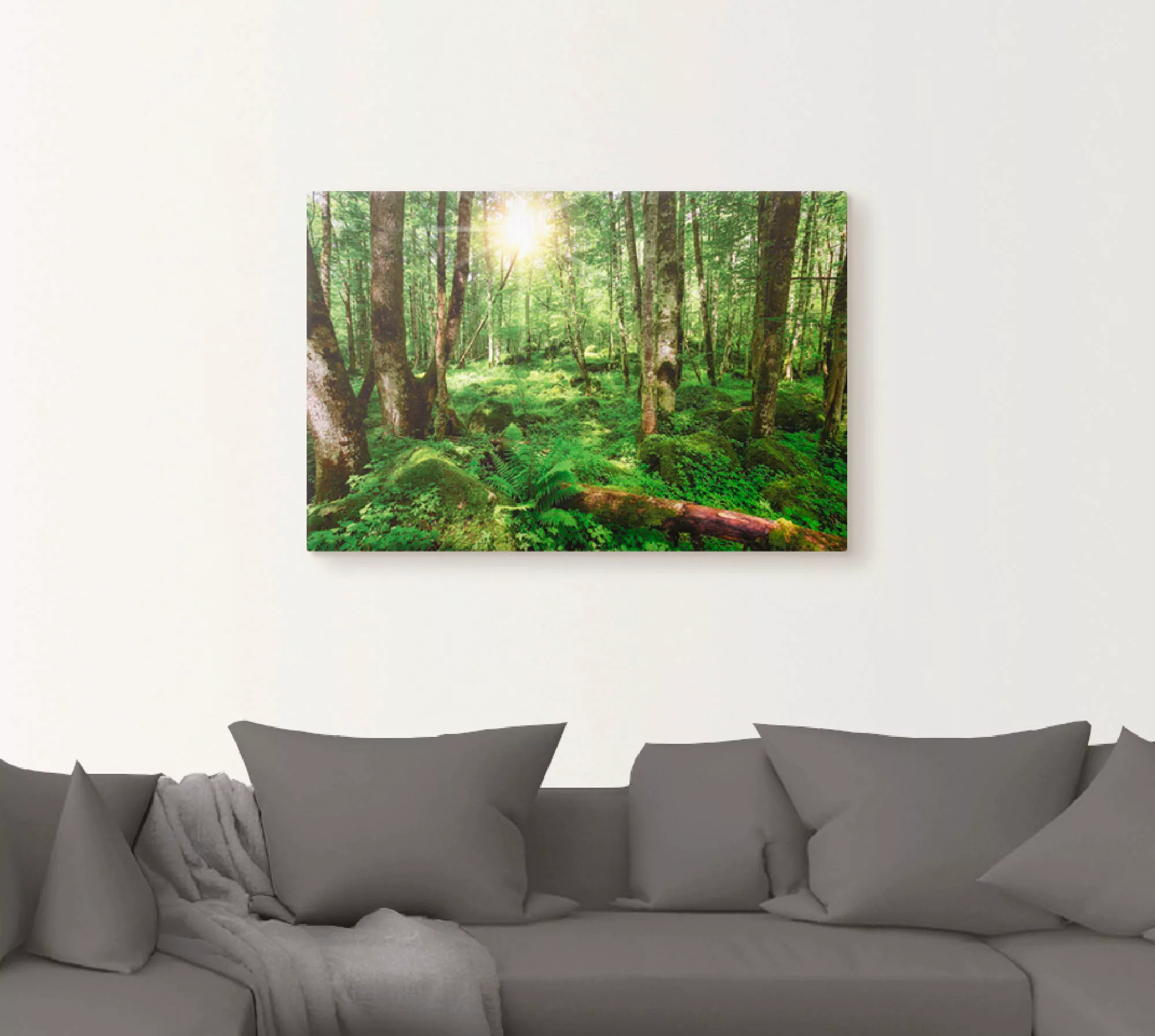 Artland Wandbild »Wald«, Wald, (1 St.), als Leinwandbild, Poster, Wandaufkl günstig online kaufen