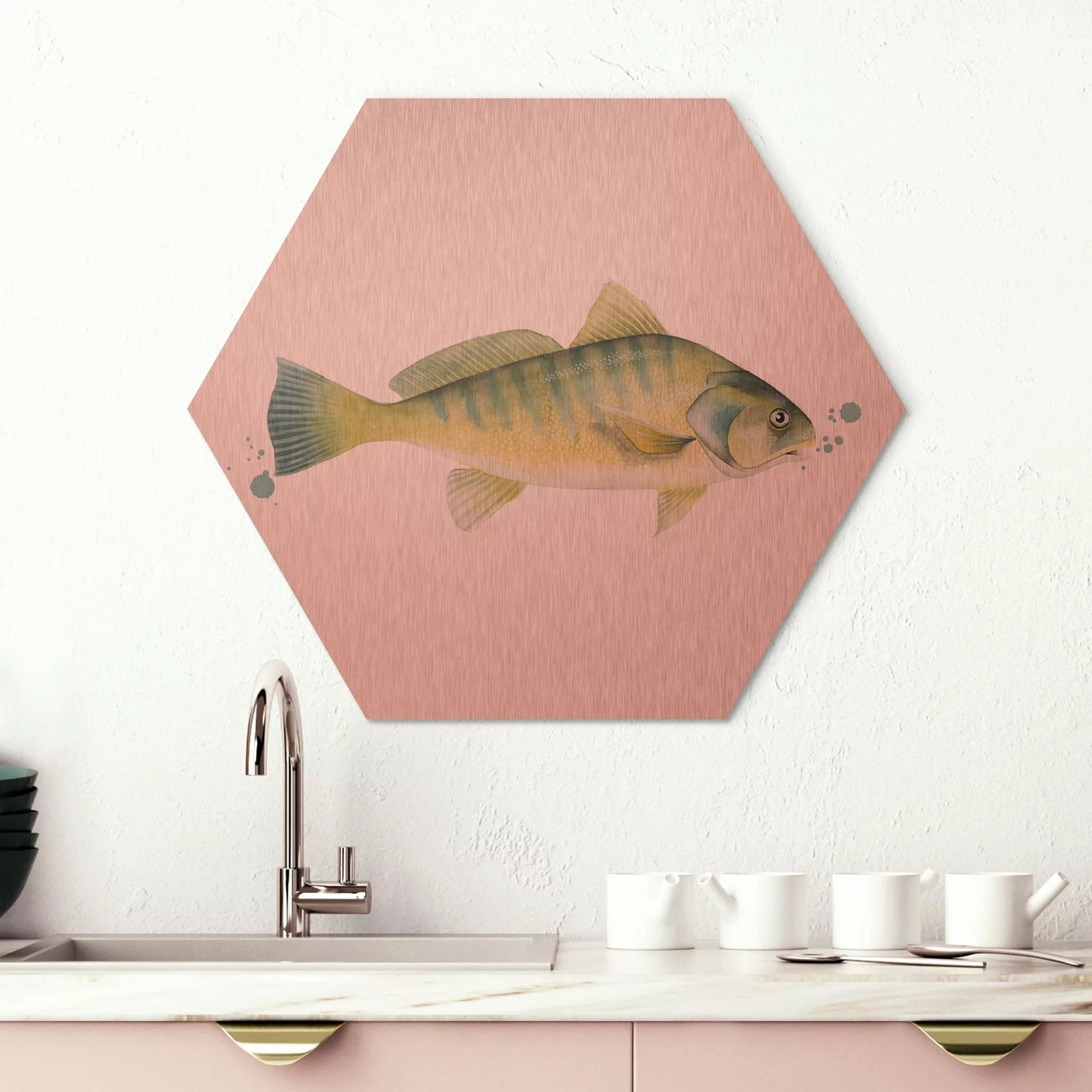 Hexagon-Alu-Dibond Bild Küche Farbfang - Flussbarsch günstig online kaufen