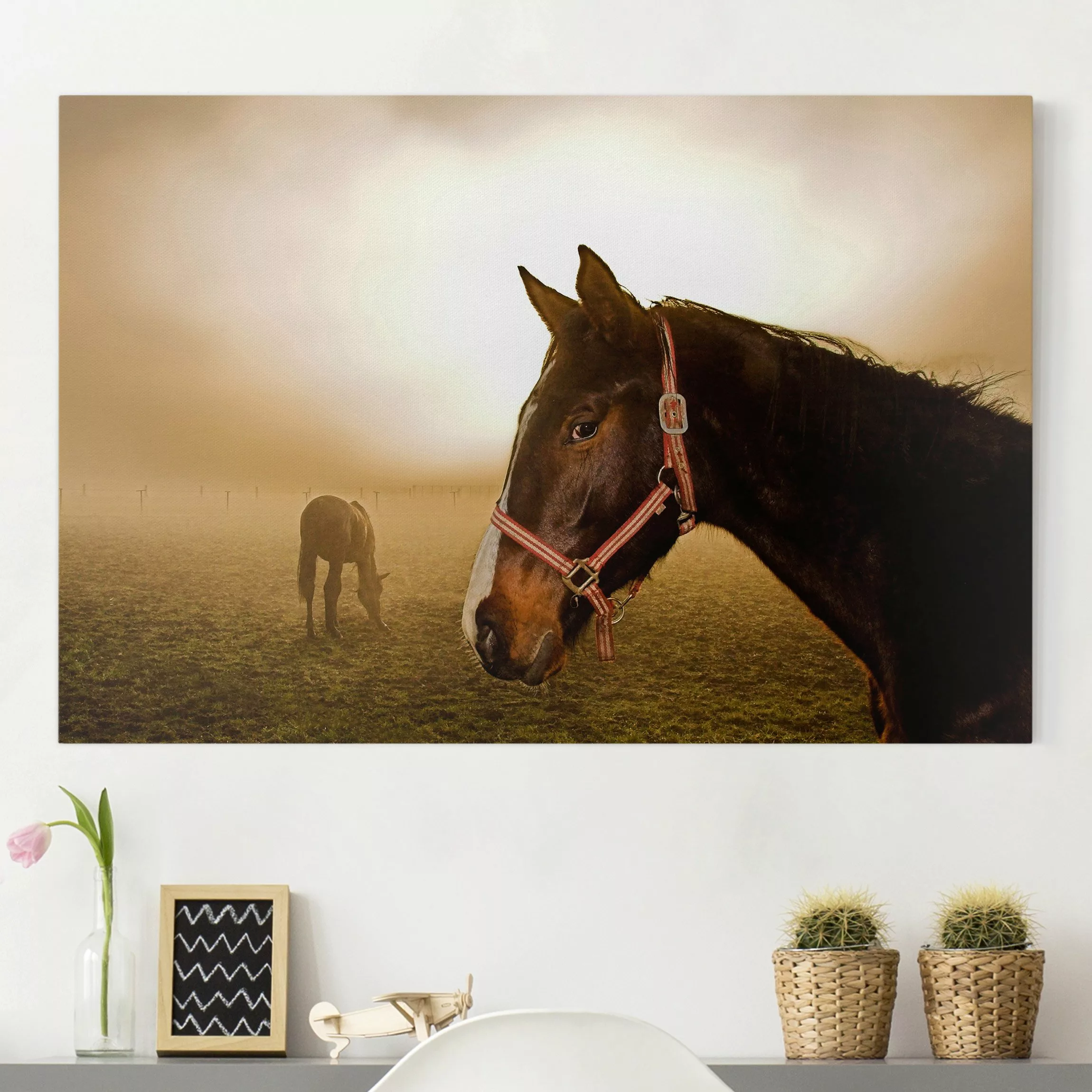 Leinwandbild Pferd - Querformat Early Horse günstig online kaufen