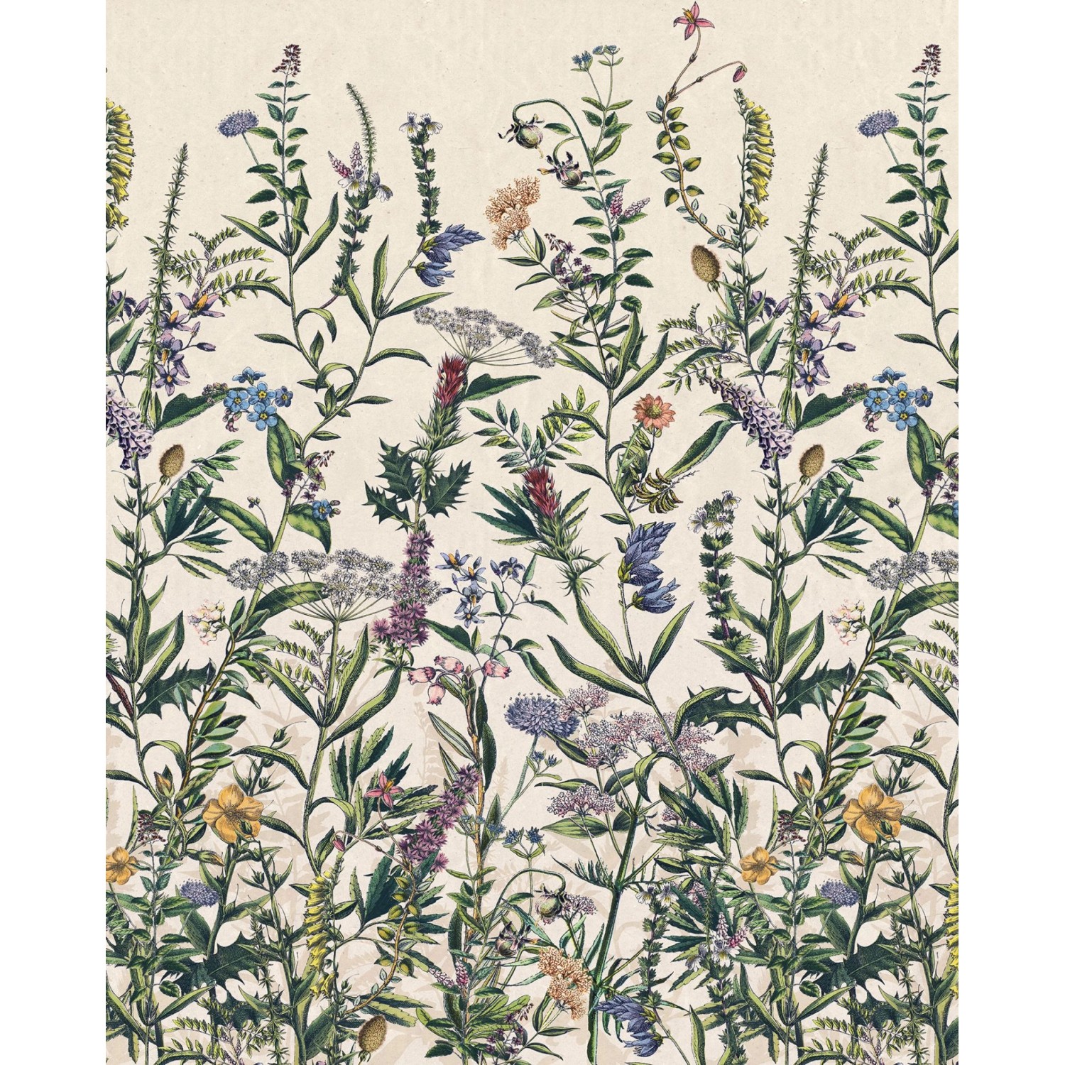 Komar Fototapete Flowering Herbs Multicolor 200 x 250 cm 611618 günstig online kaufen